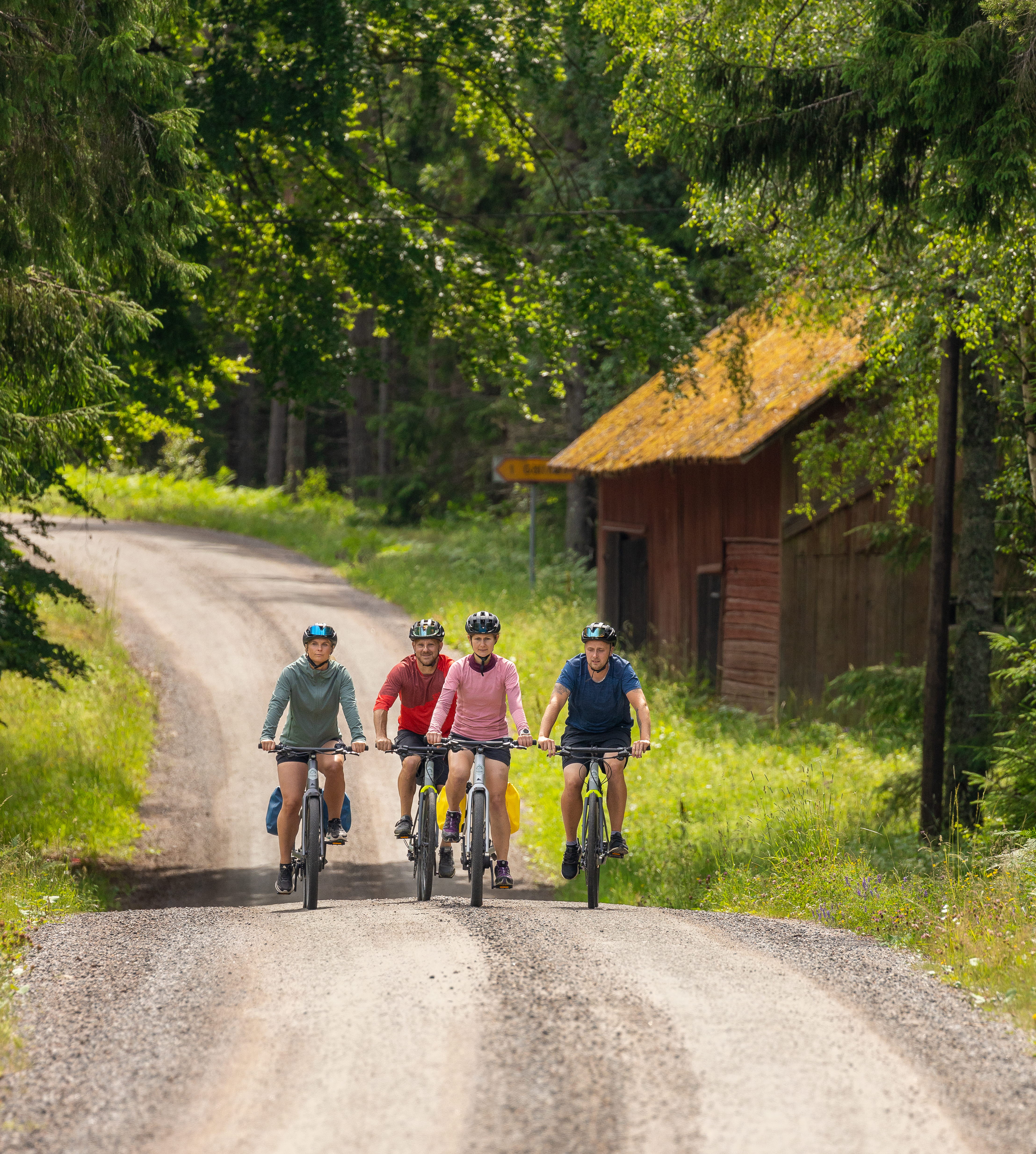 Cyclists on forest roads.