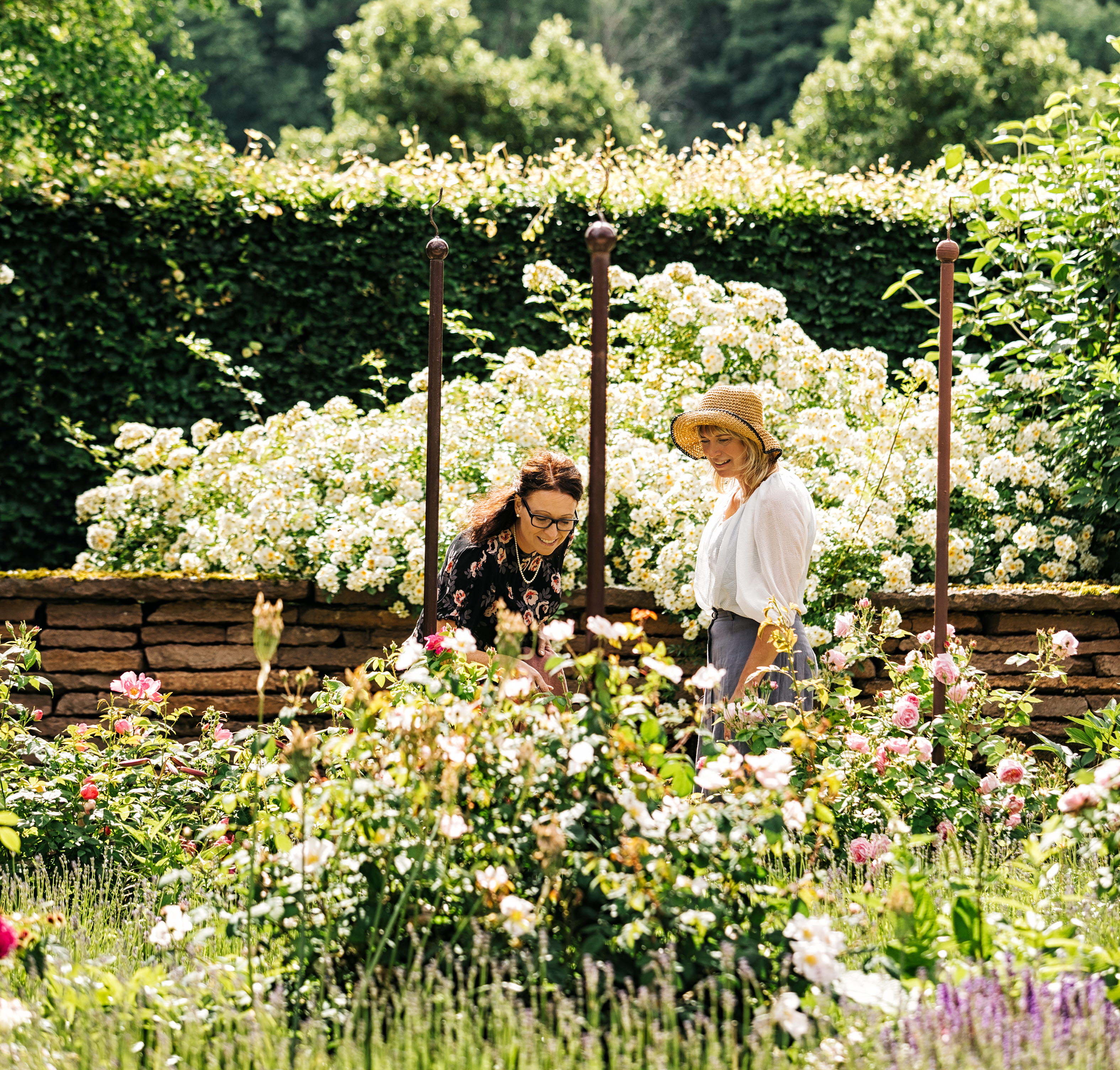 Hällekis Trädgård