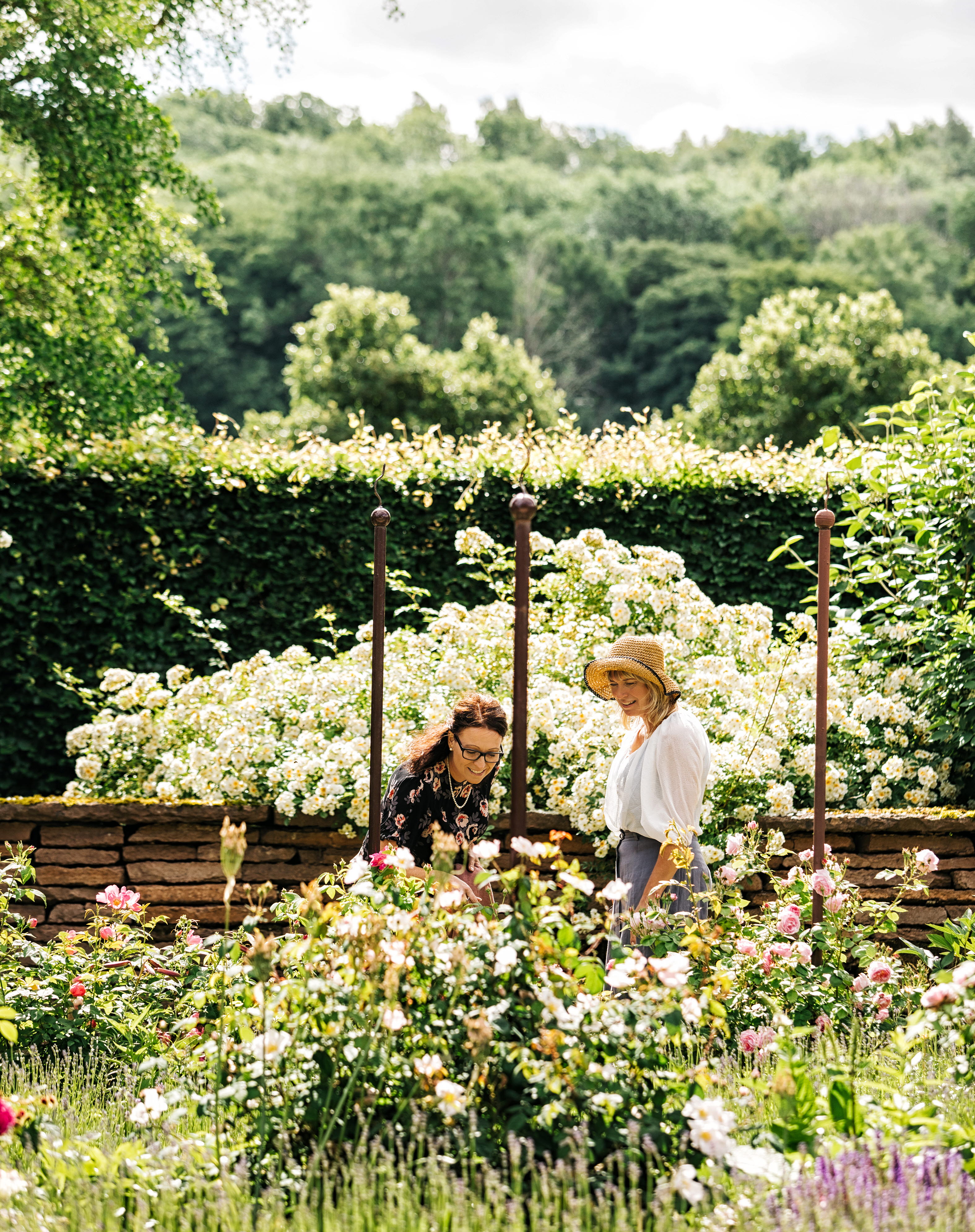 Hällekis Trädgård