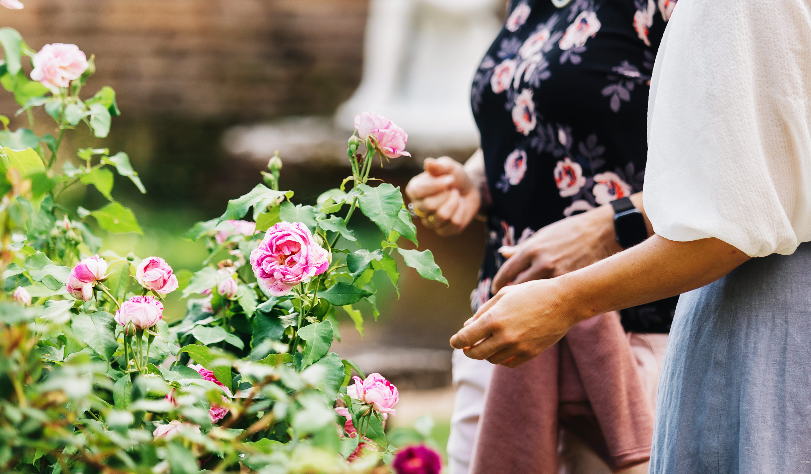 Hällekis Trädgård