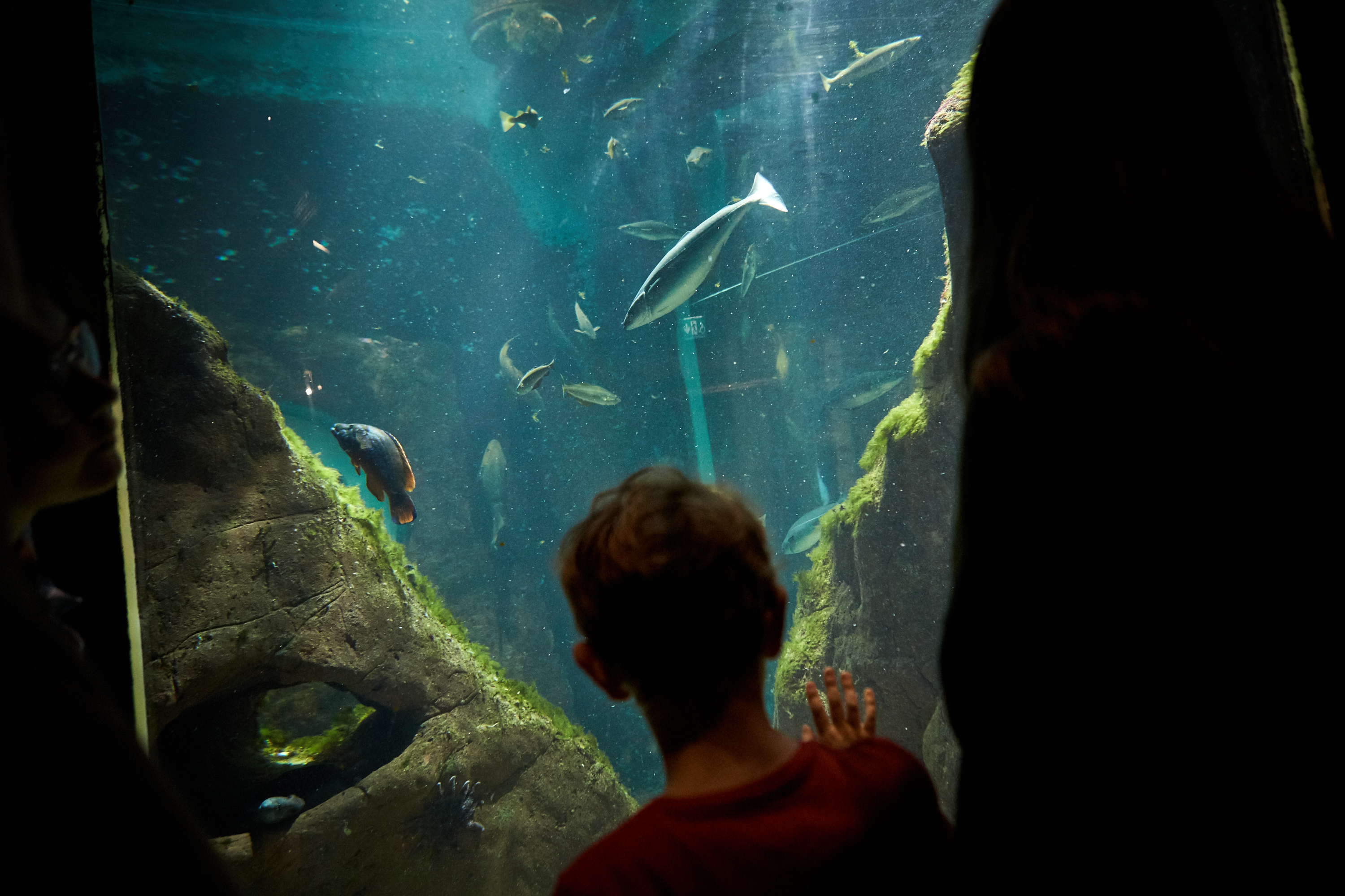 Barn aktiverar sig på Havets Hus