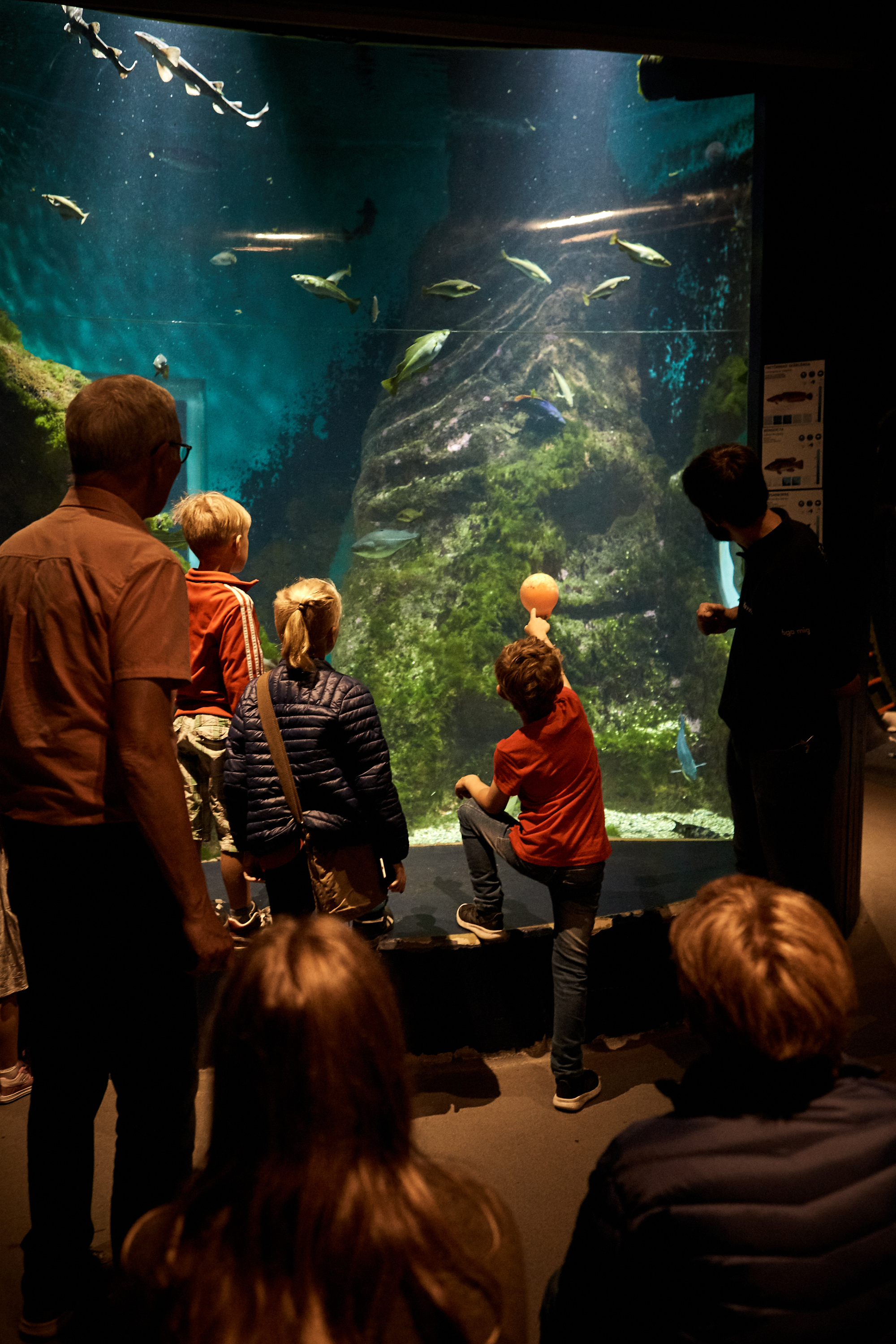 Active Children at Havets Hus