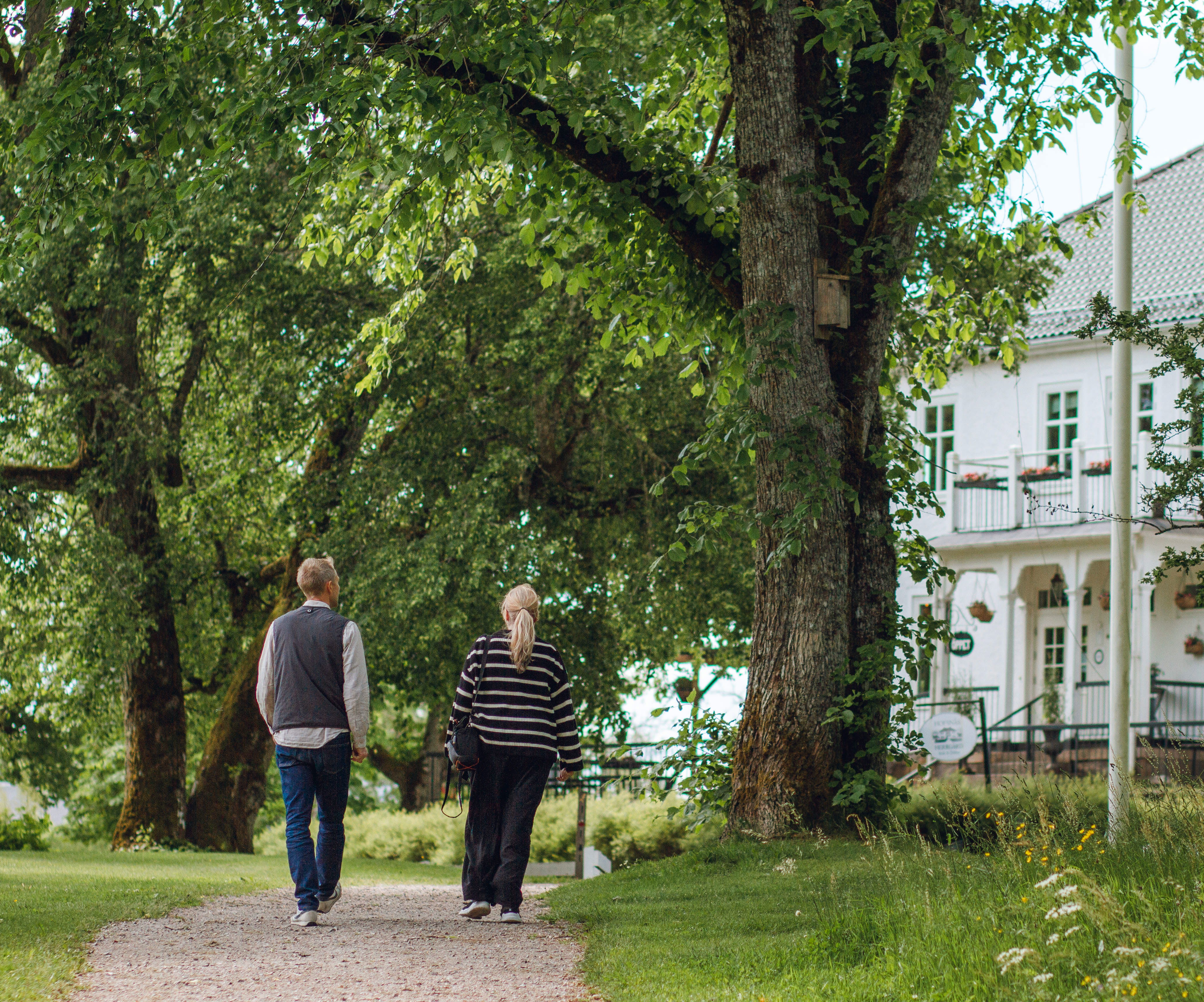 People walking in forest environment.
