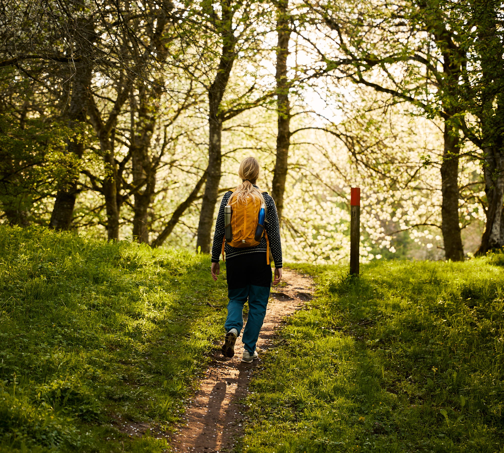 Vandring vid Höjentorp