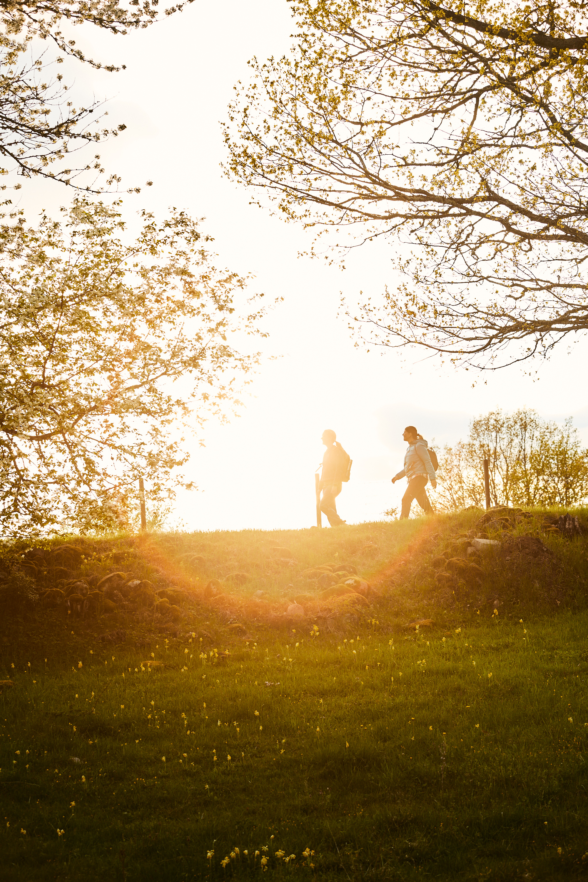 Vandring vid Höjentorp