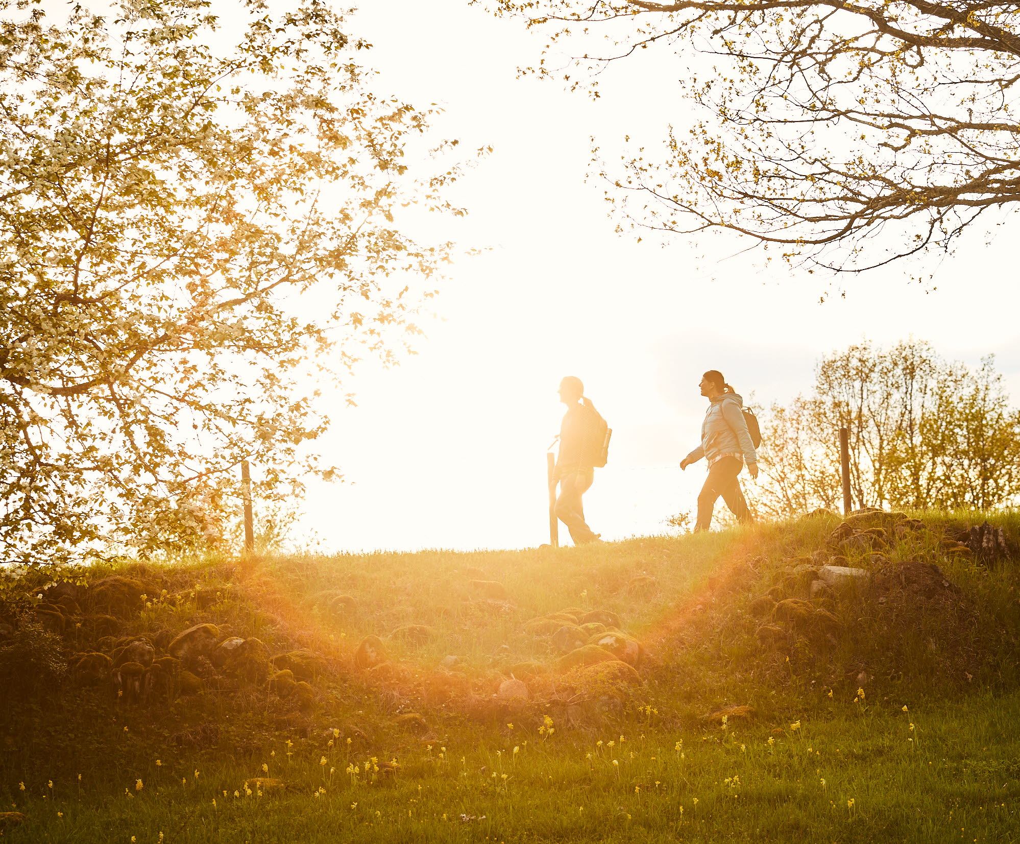 Vandring vid Höjentorp