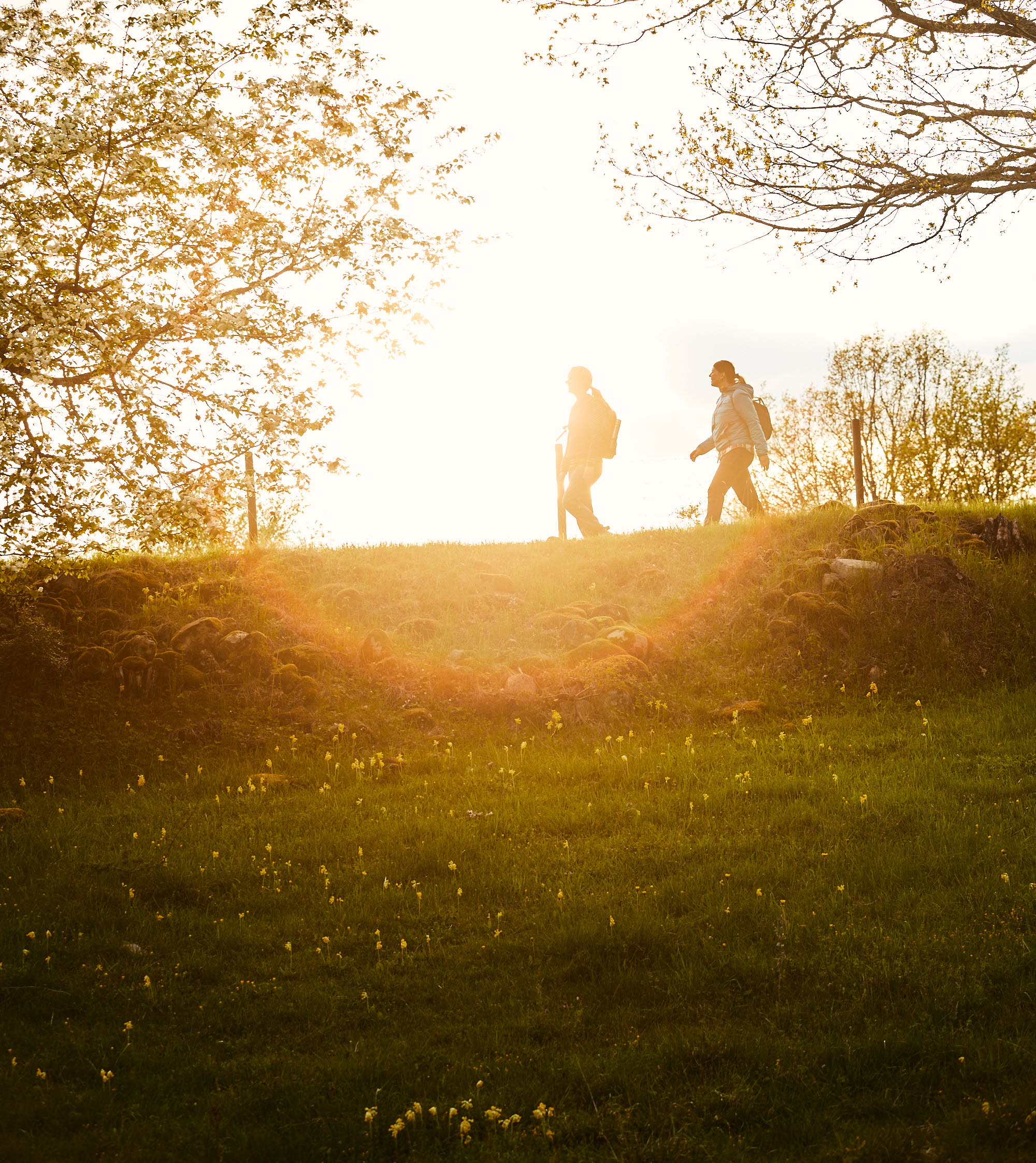 Vandring vid Höjentorp