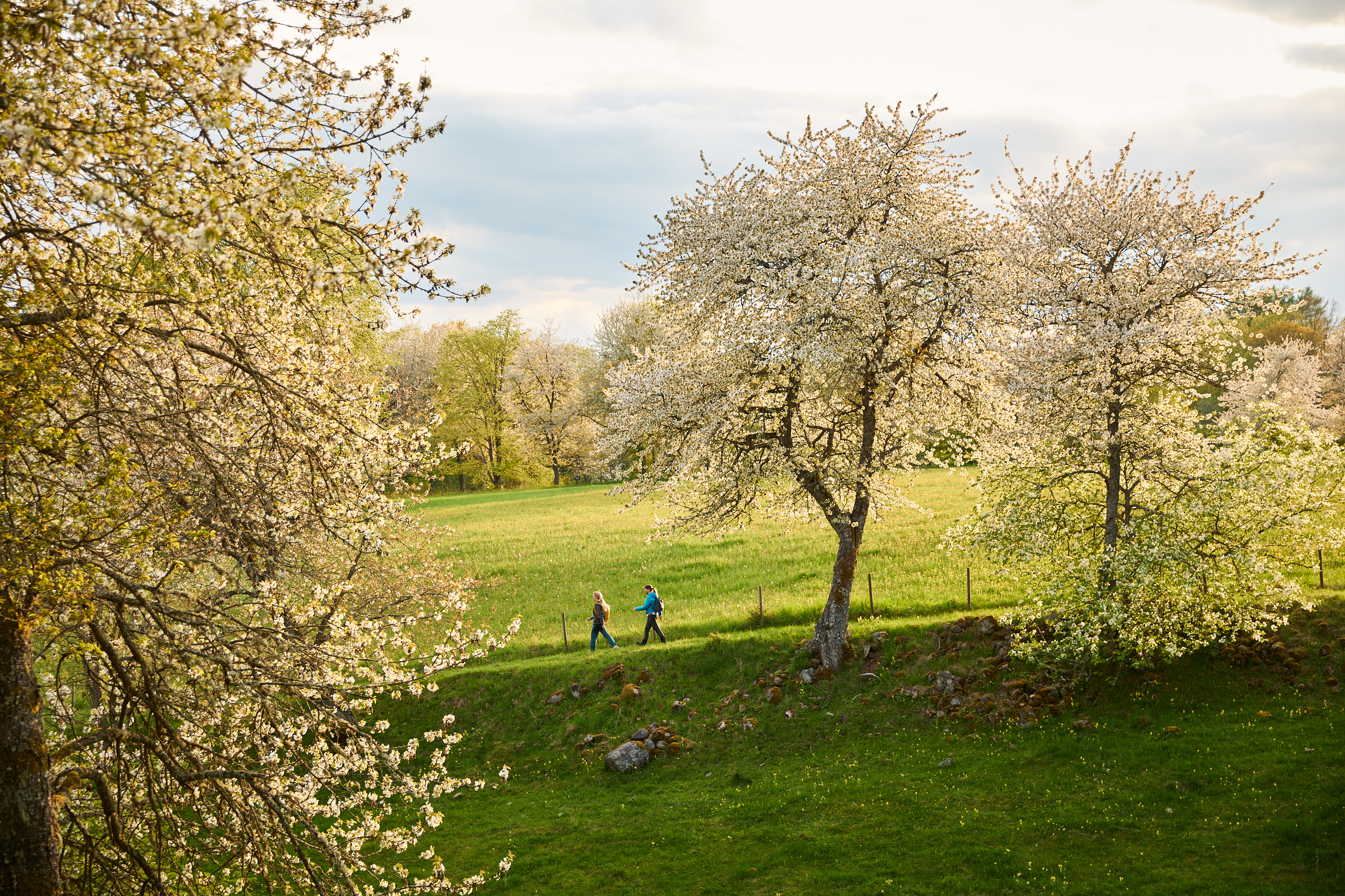 Vandring vid Höjentorp