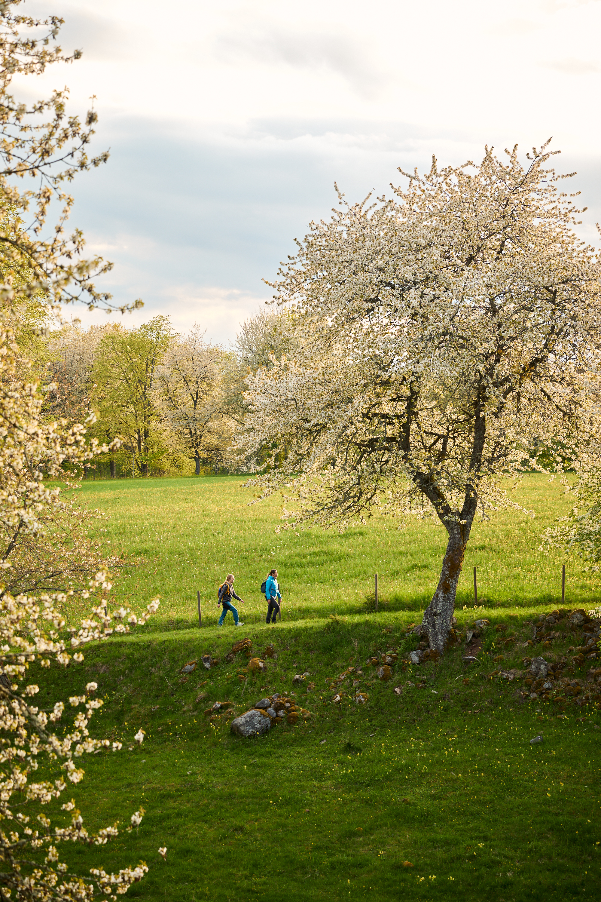 Vandring vid Höjentorp