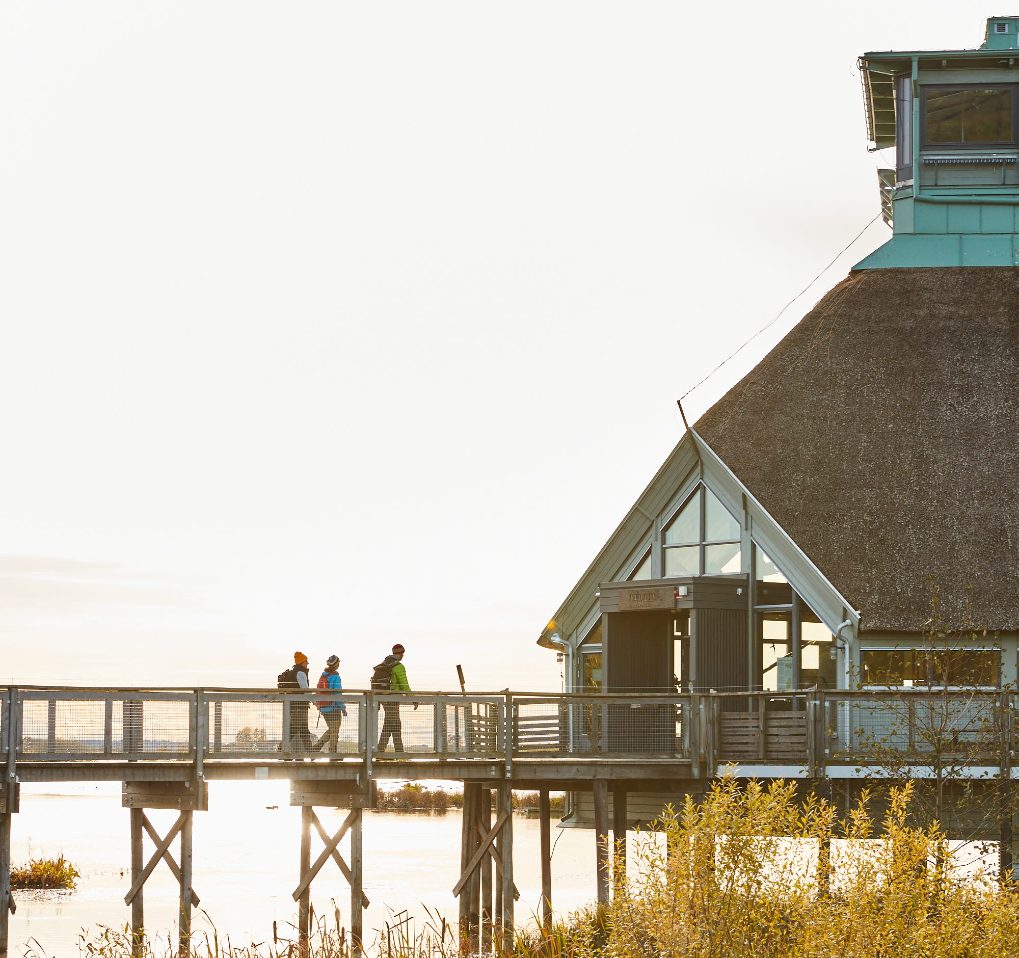 Vandring vid Hornborgasjön