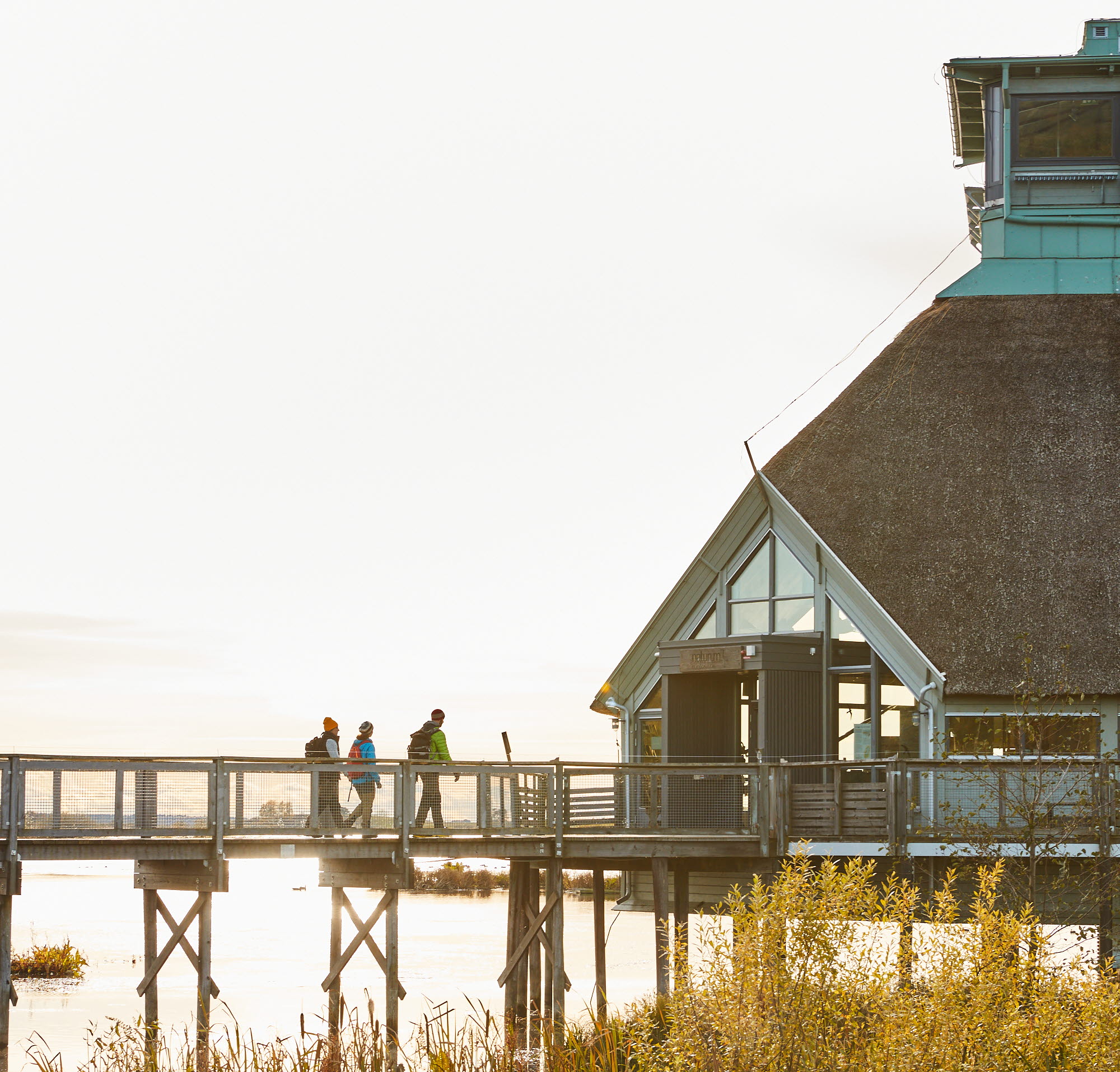 Vandring vid Hornborgasjön