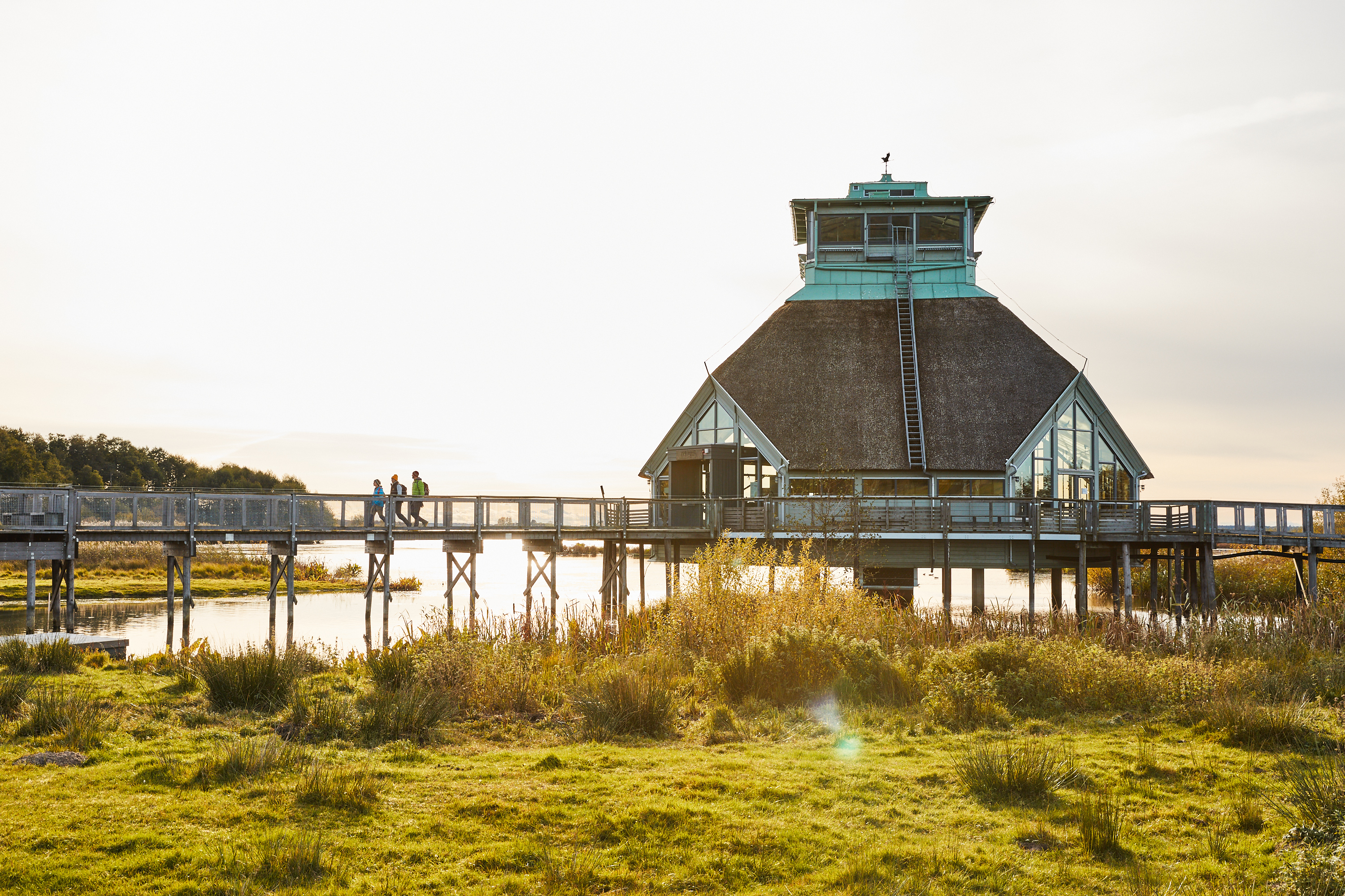 Vandring vid Hornborgasjön