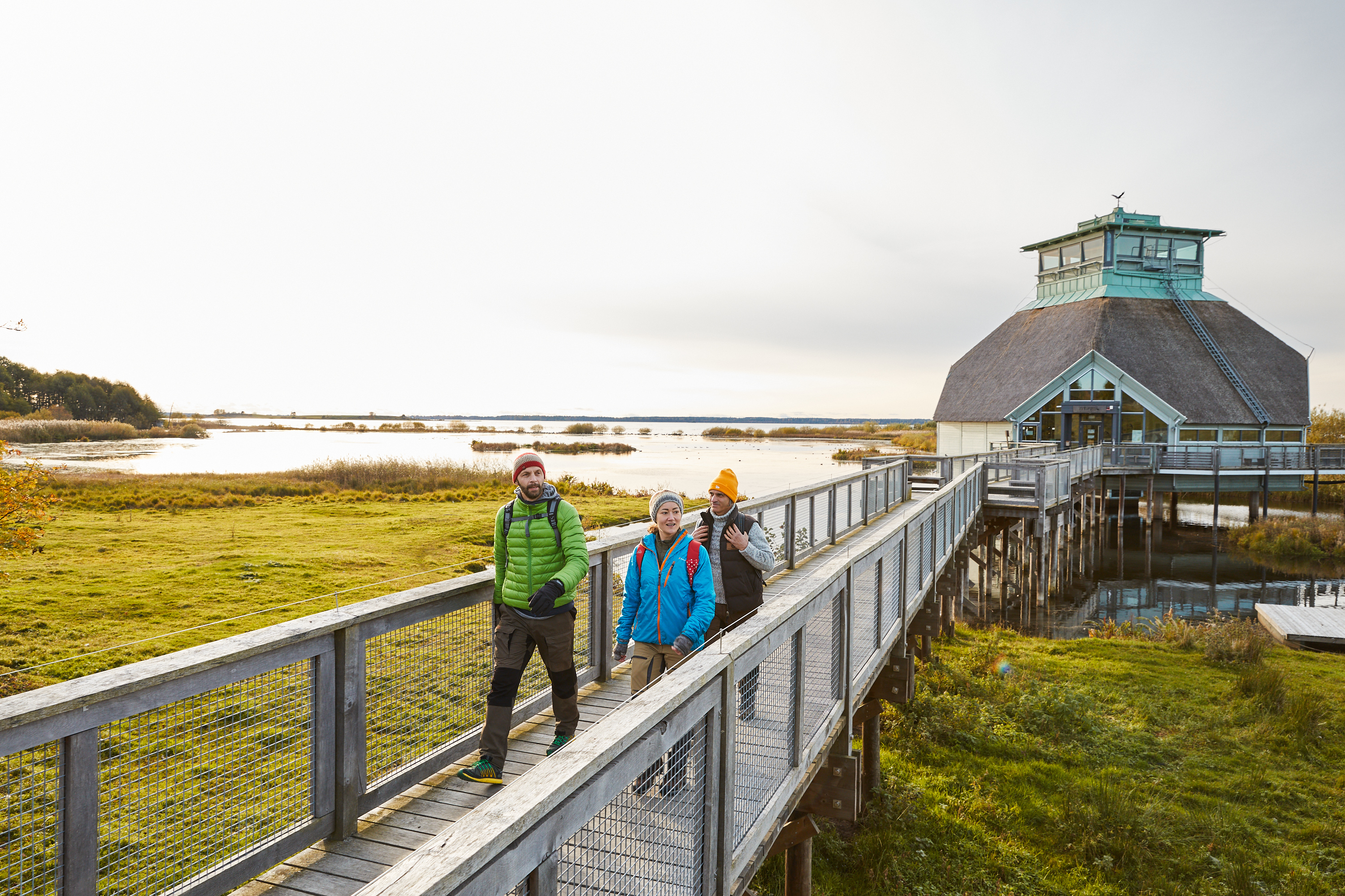 Vandring vid Hornborgasjön