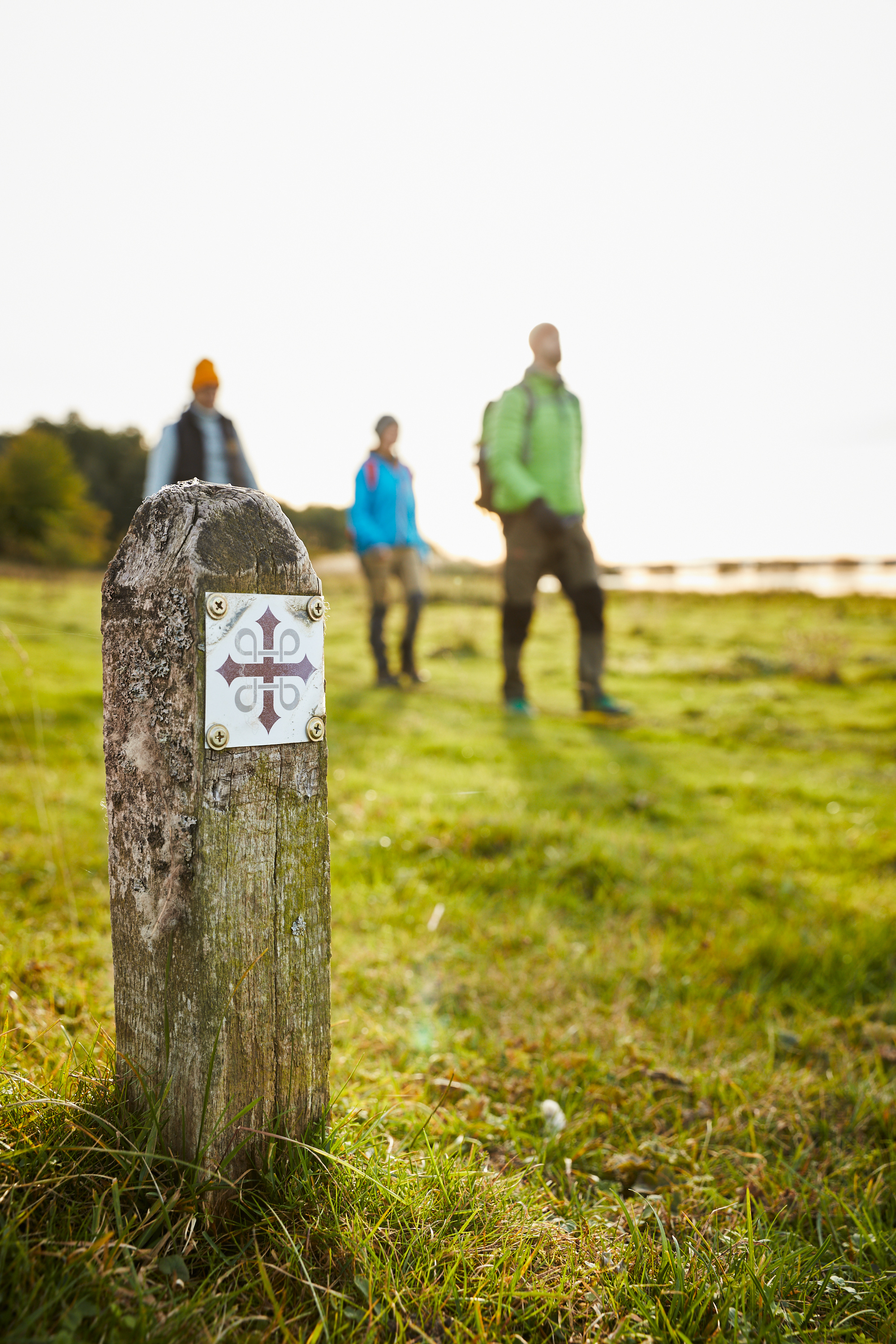 Vandring vid Hornborgasjön