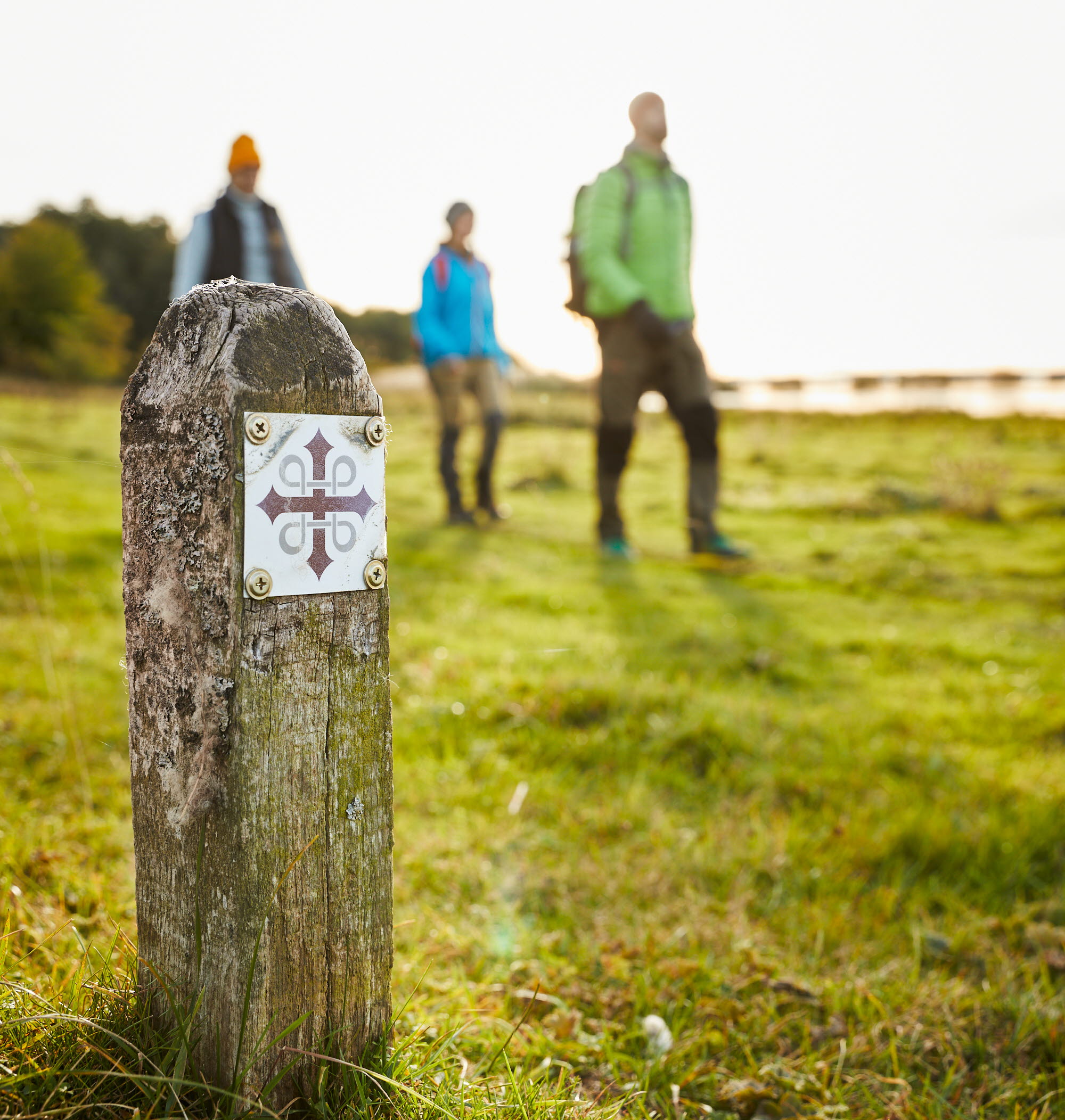 Vandring vid Hornborgasjön