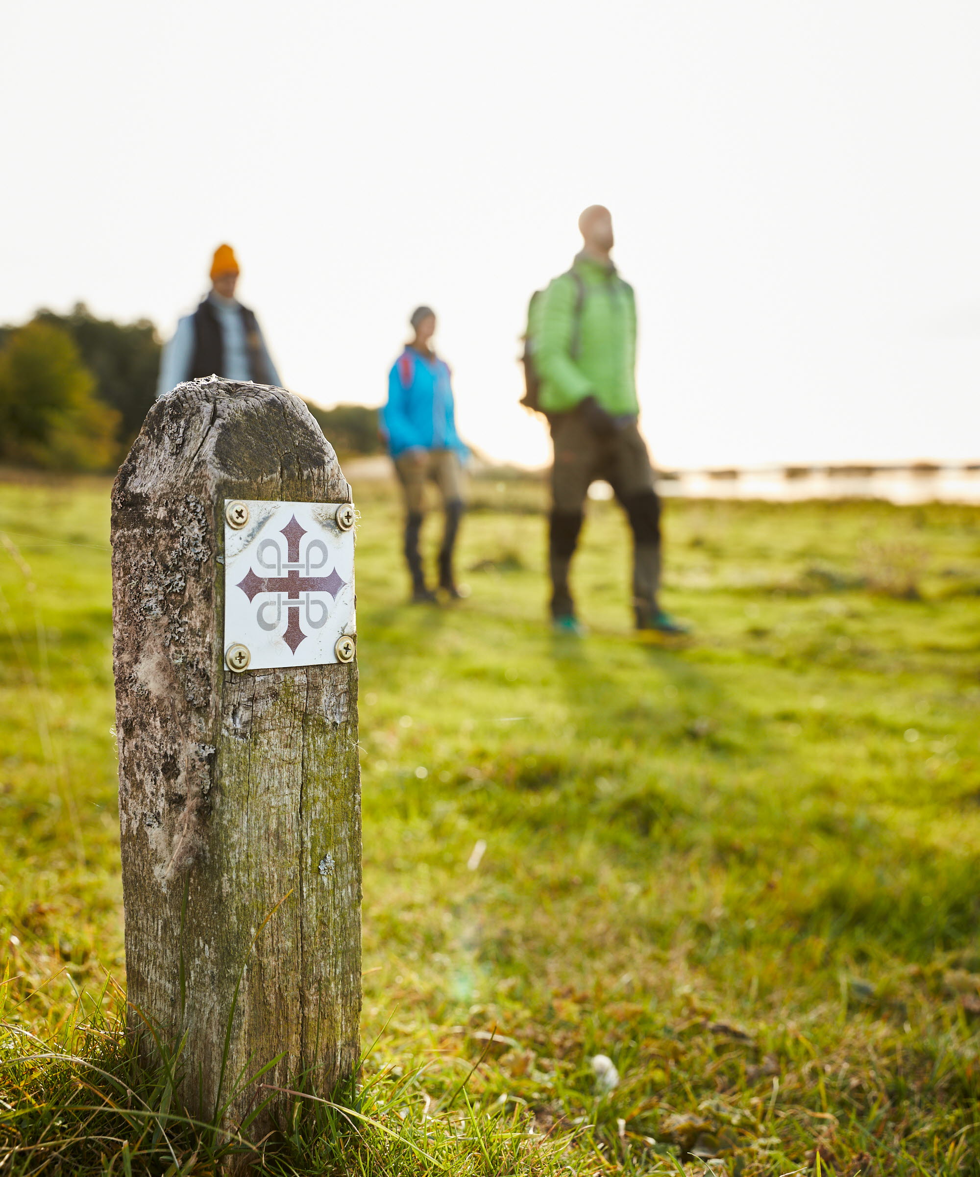 Vandring vid Hornborgasjön