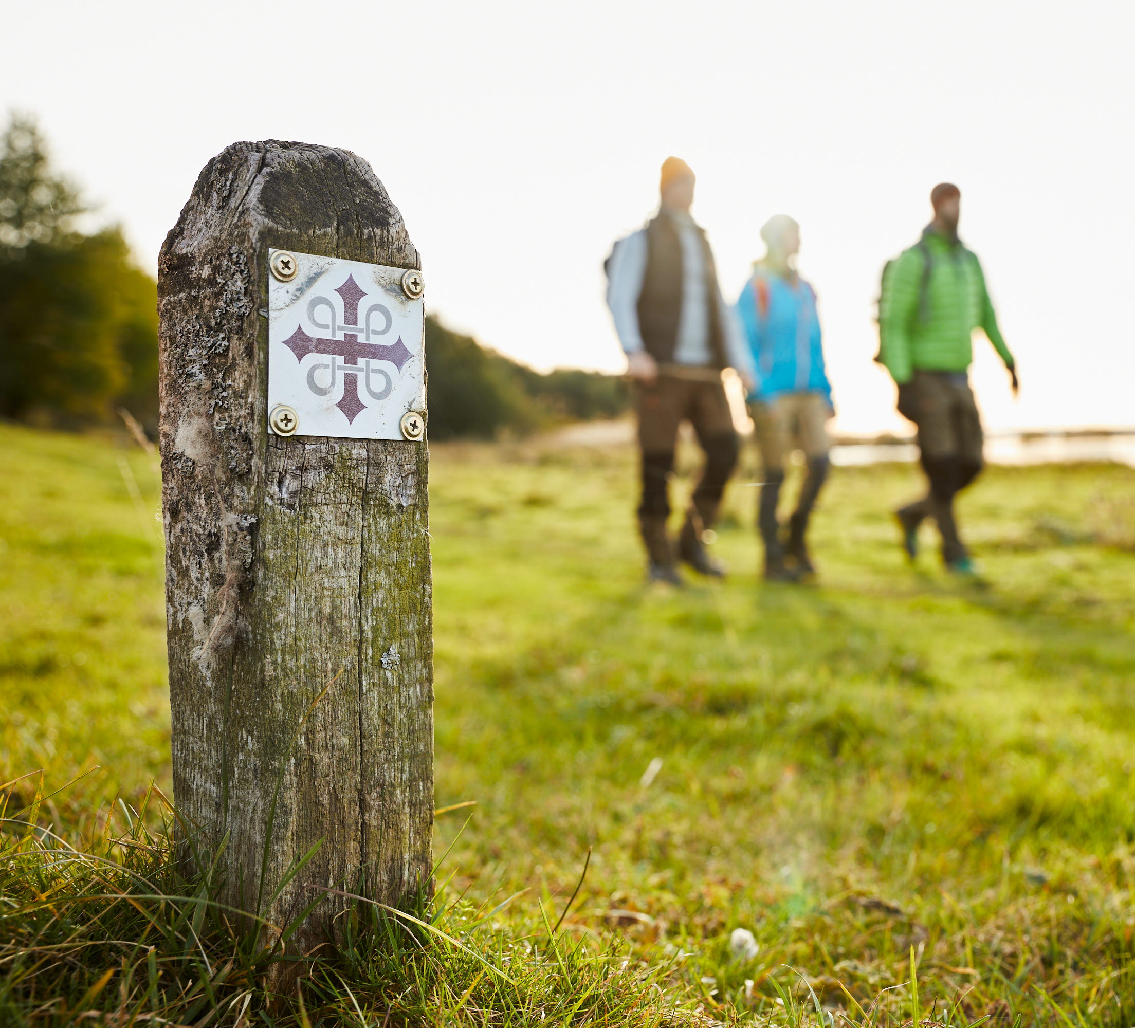 Hike at Horborgasjön
