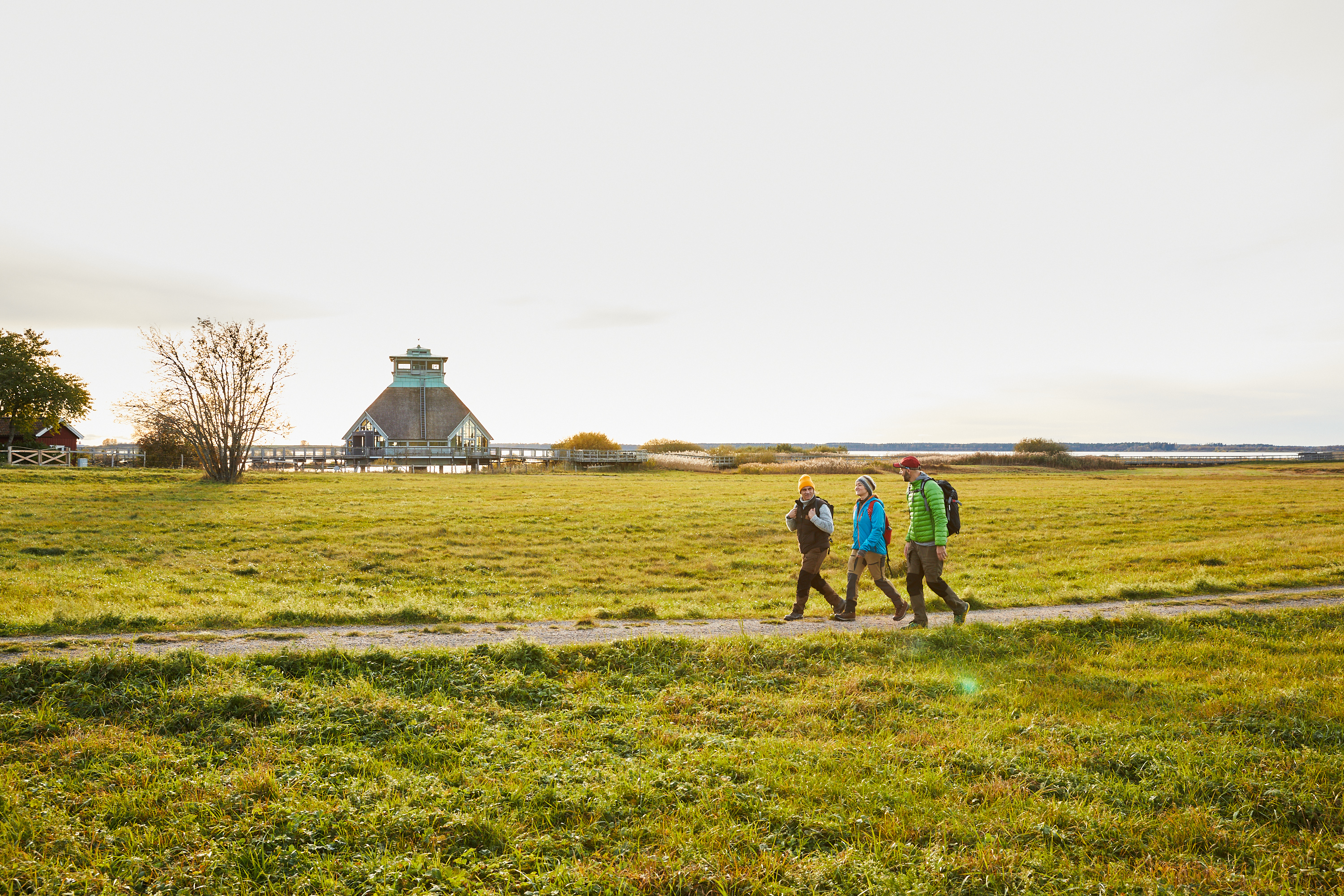 Vandring vid Hornborgasjön