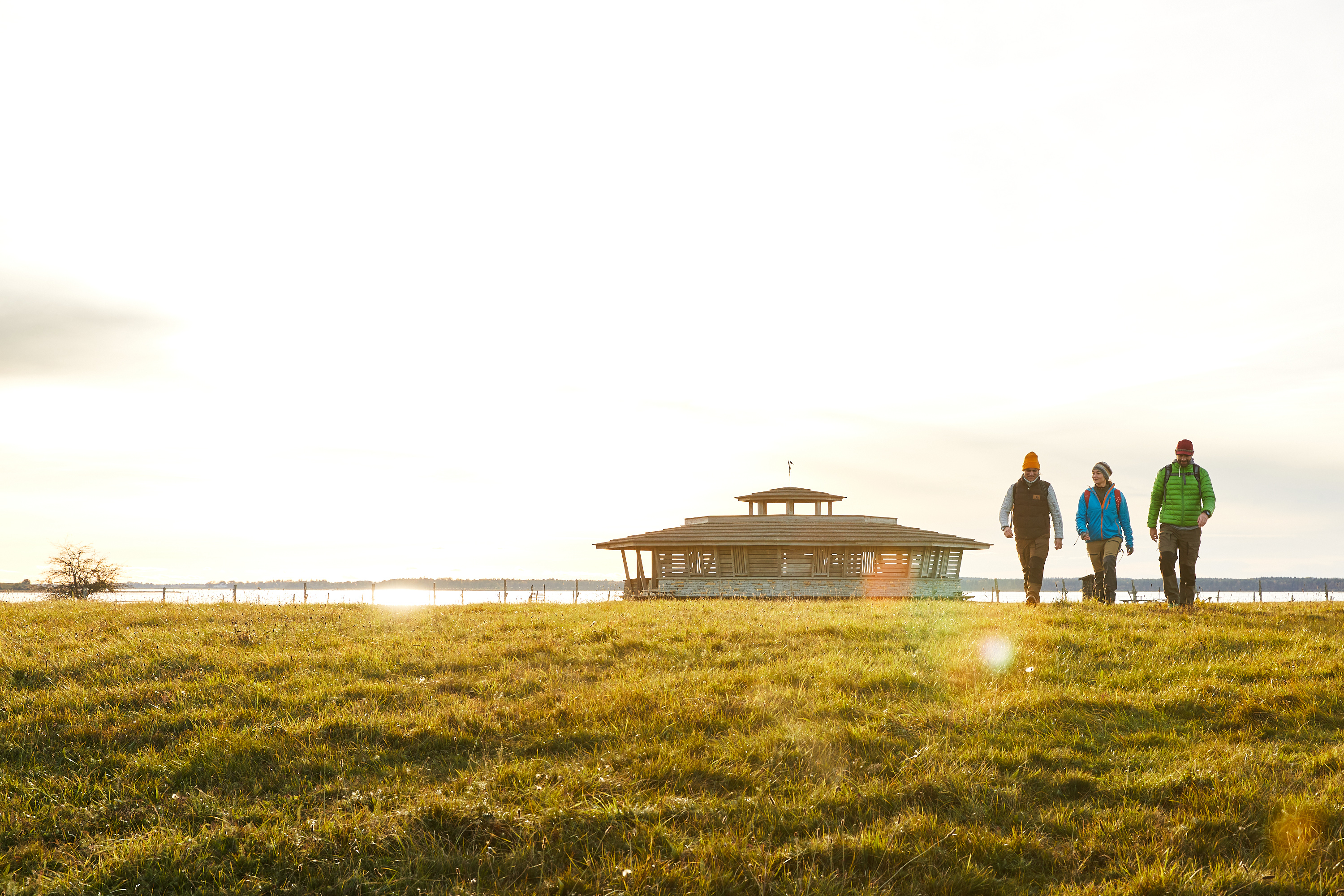 Vandring vid Hornborgasjön