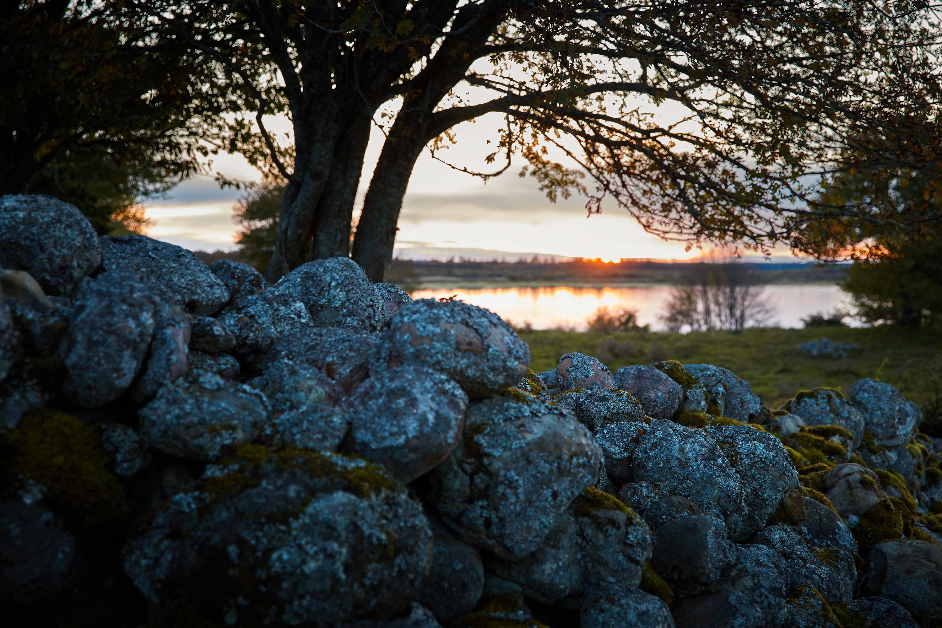 Hike at Horborgasjön