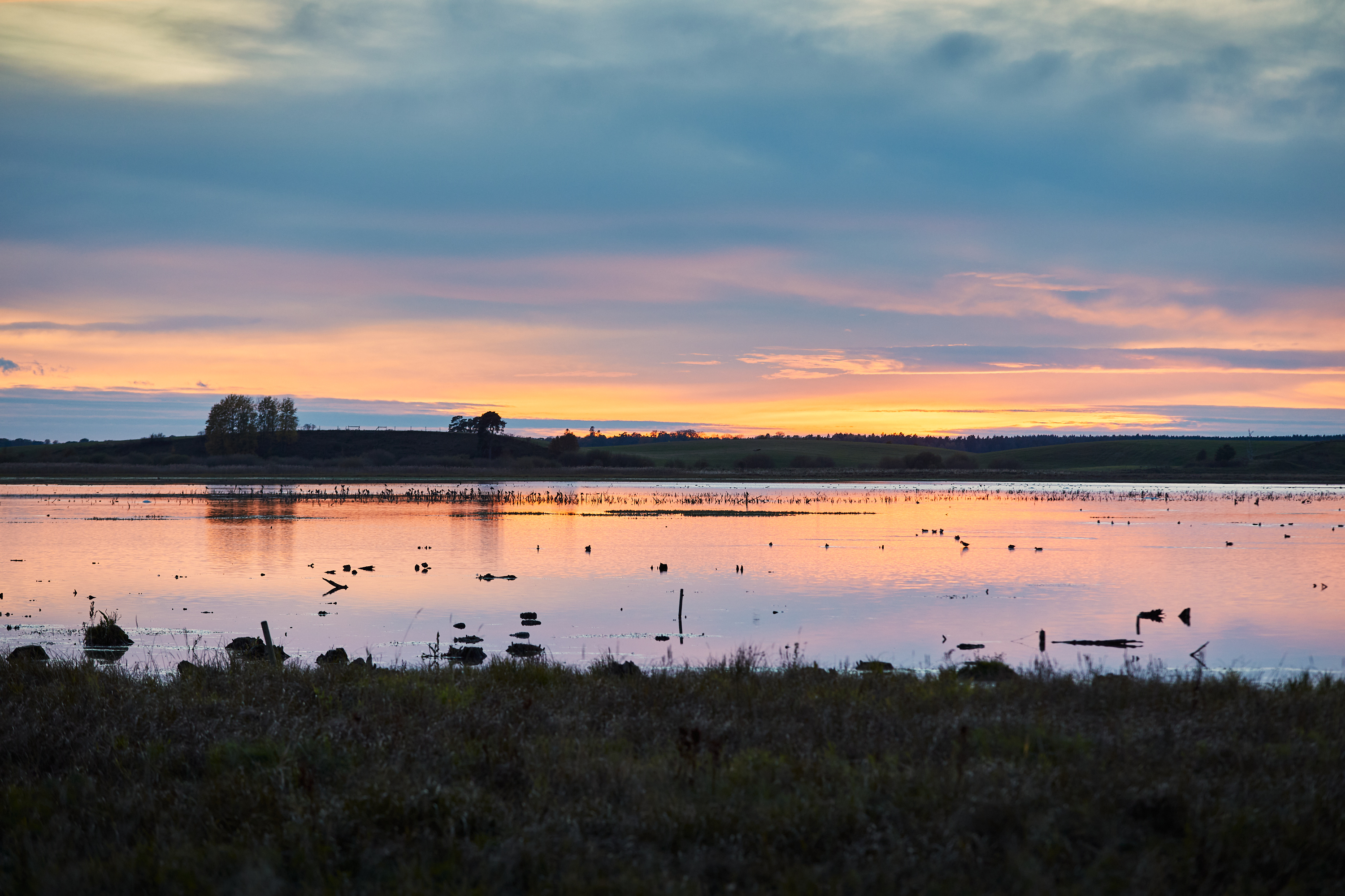 Vandring vid Hornborgasjön