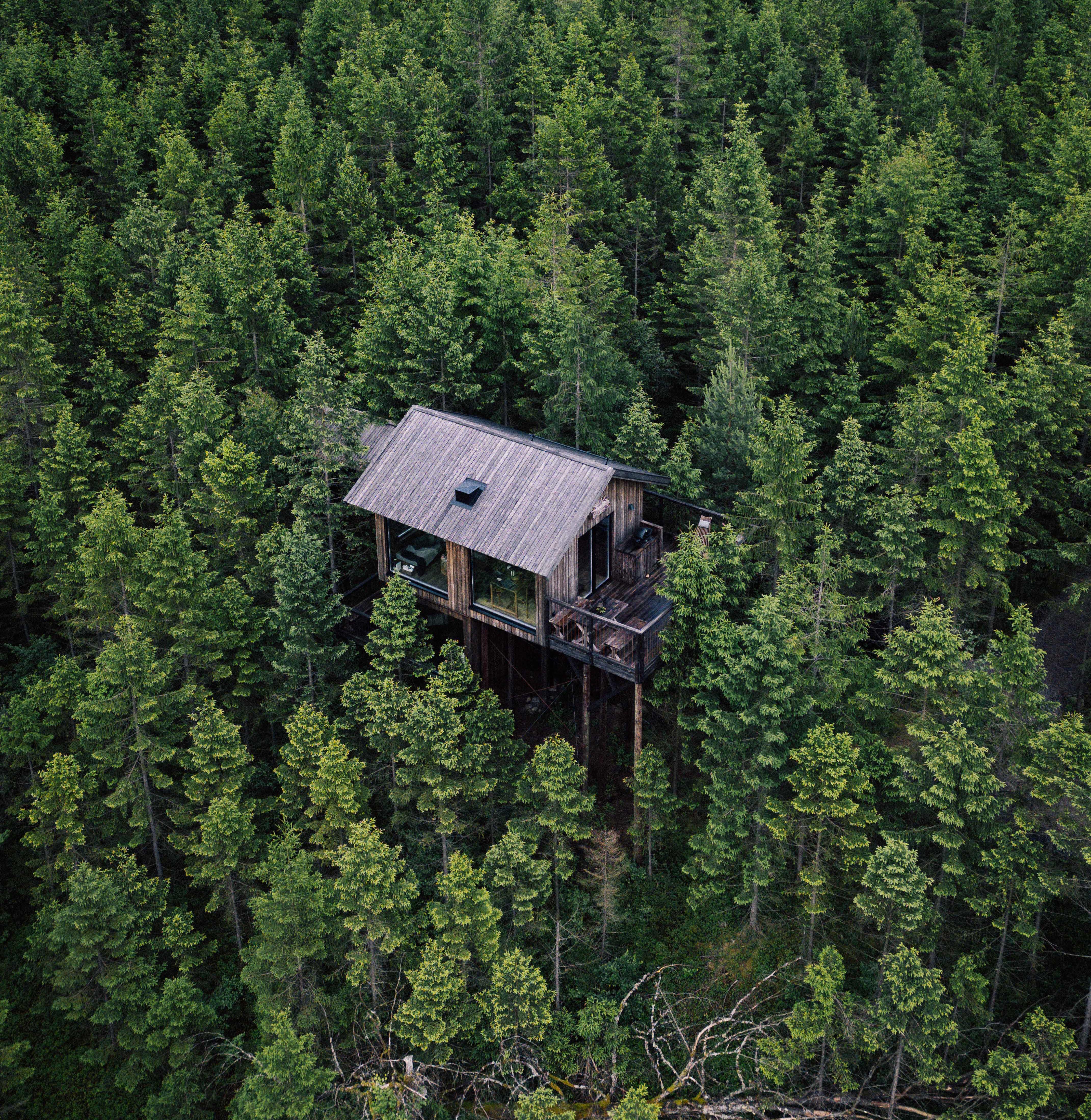 Aerial view of forest landscape.