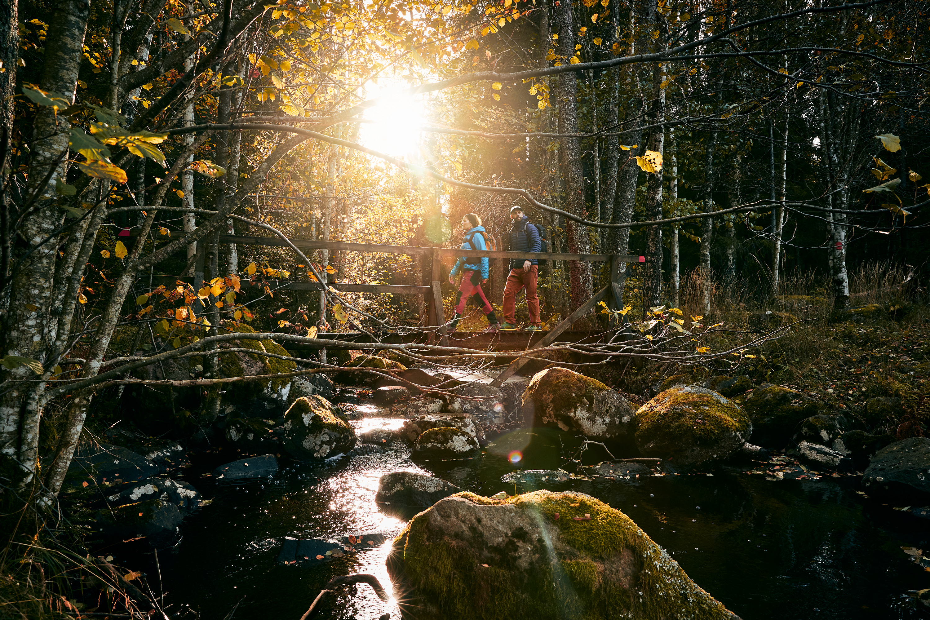 Vandra Jättadalen, Vallebygden