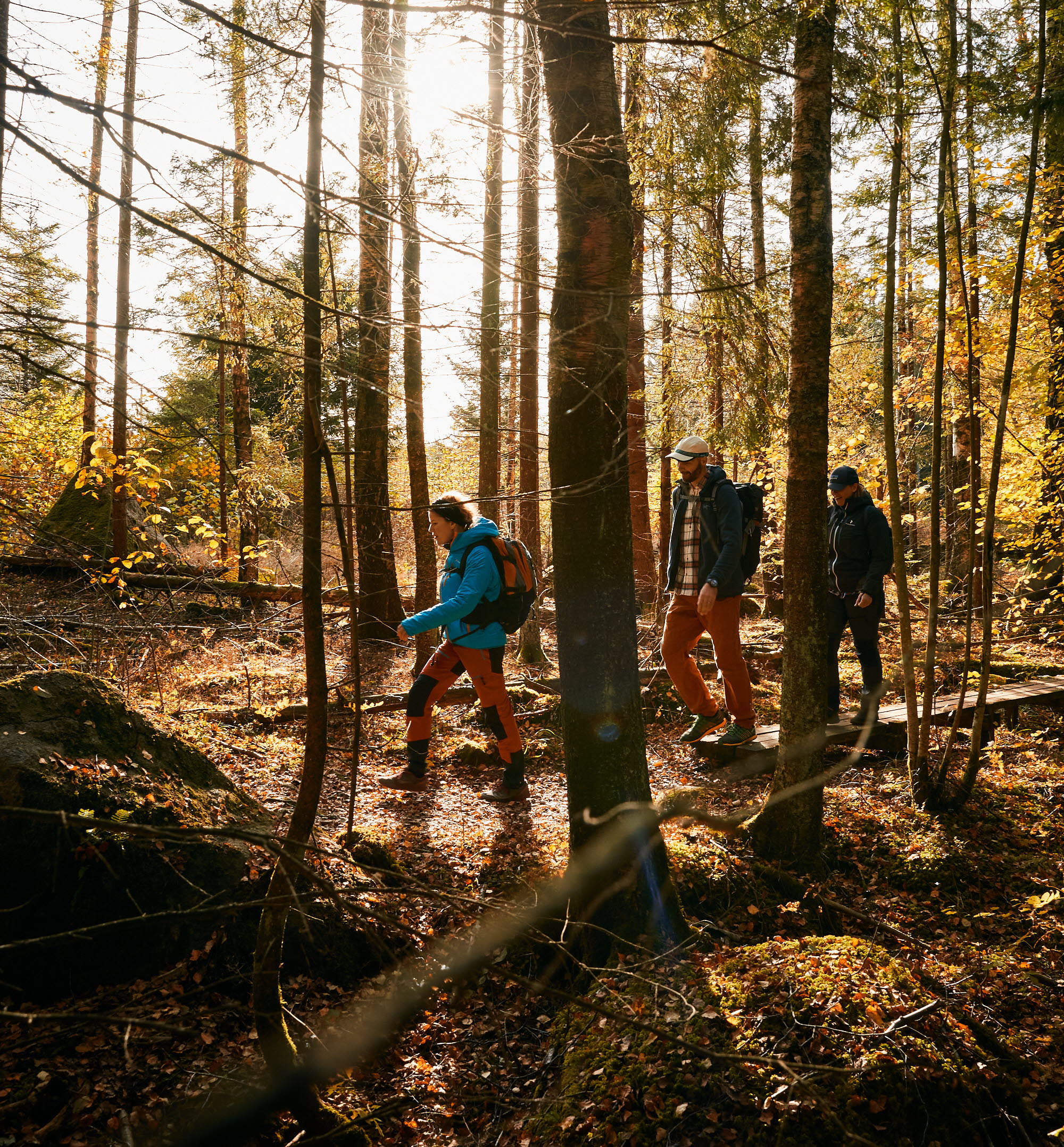 Vandra Jättadalen, Vallebygden