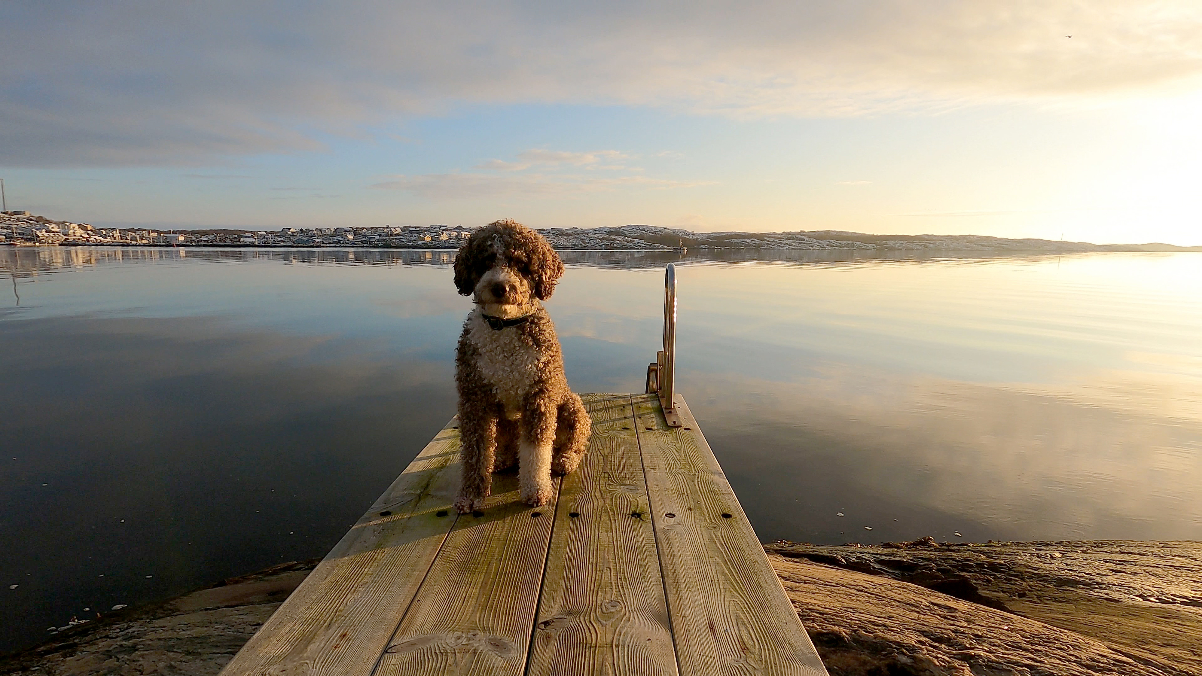 winter bath on Öckeröarna
