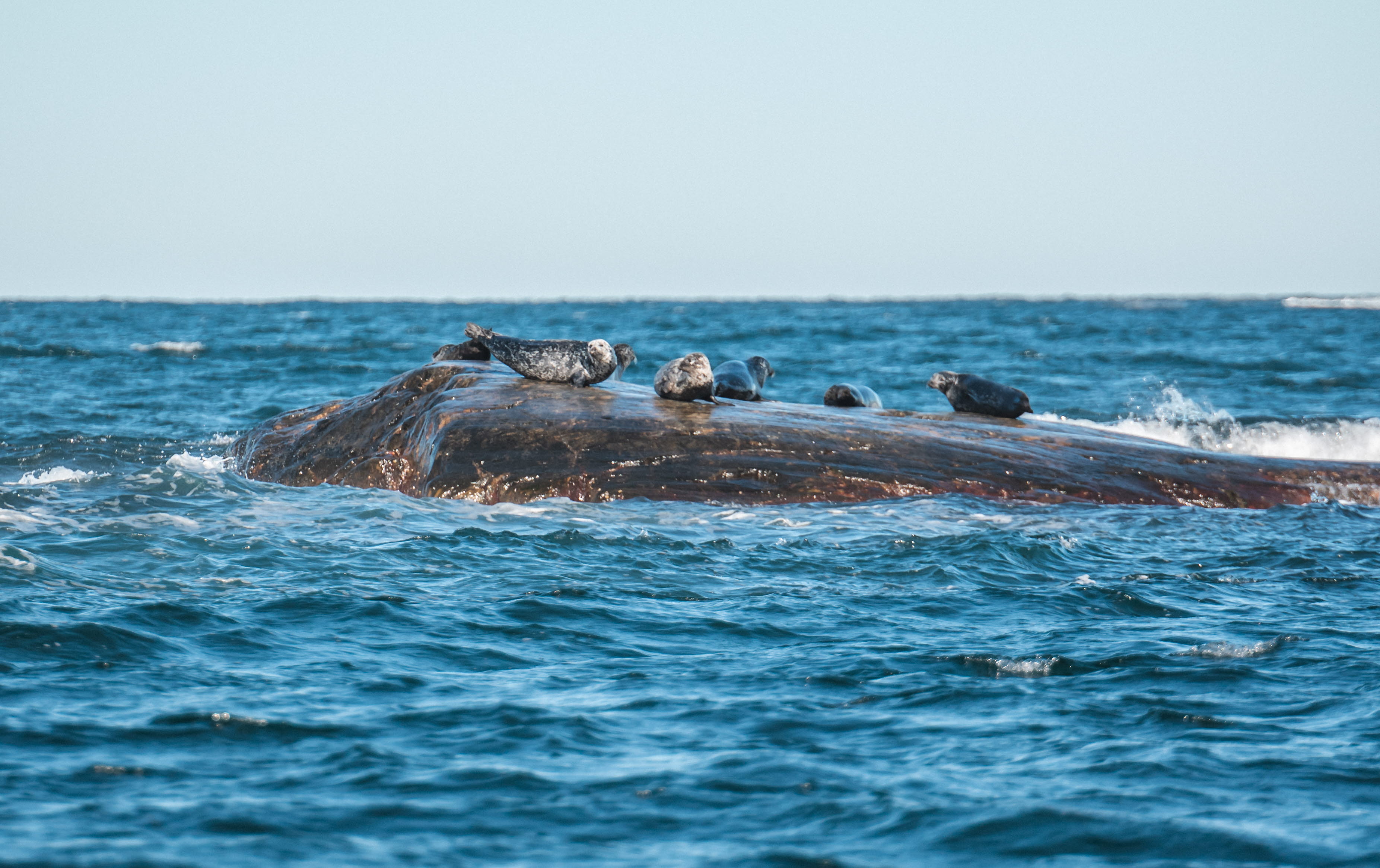Boat trip in the archipelago