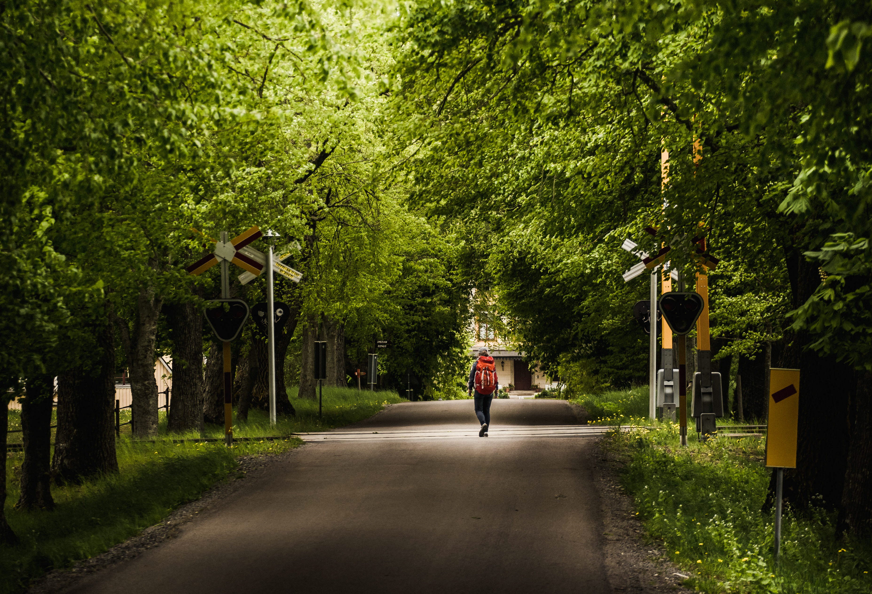 Vandra på Kinnekulle