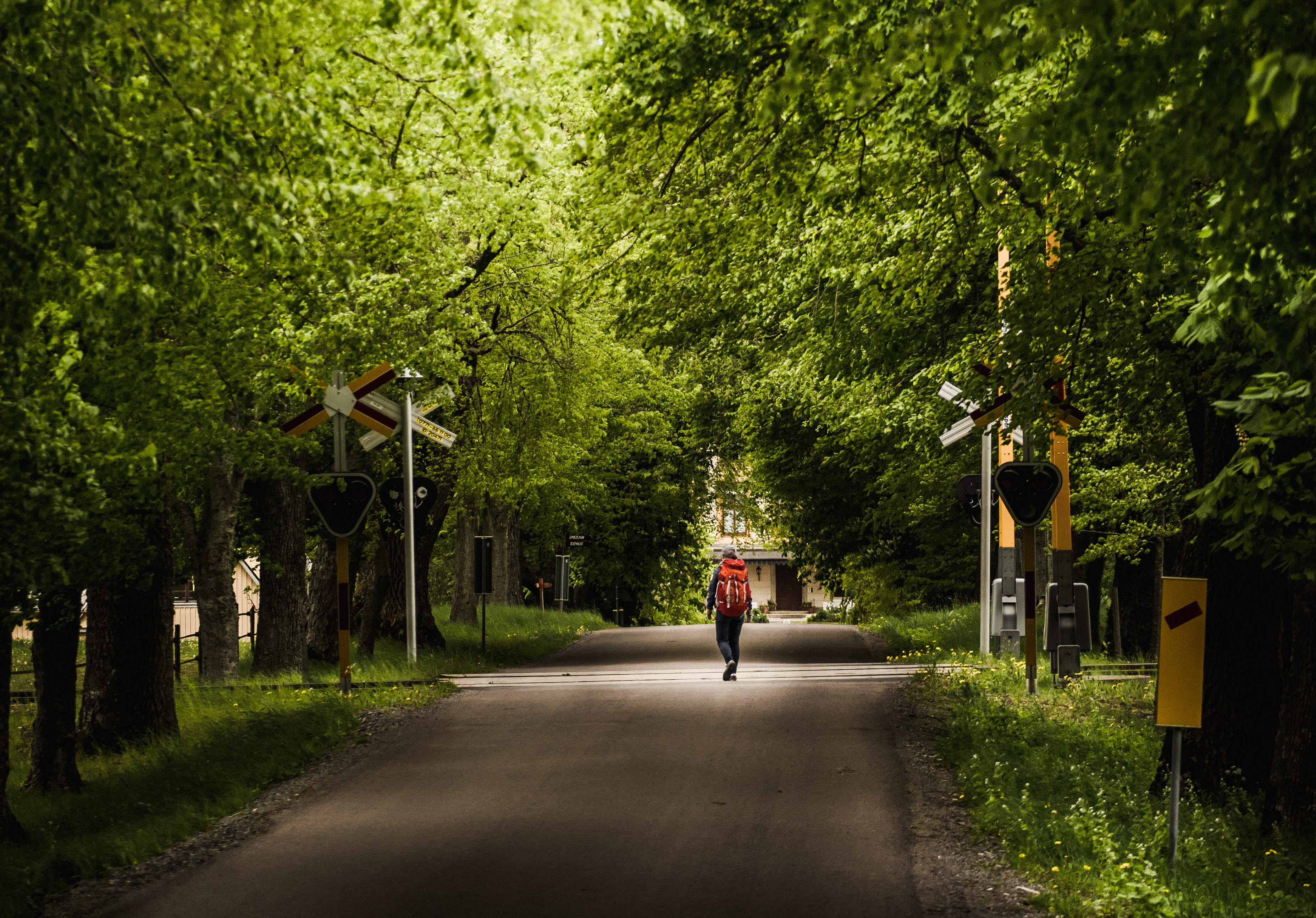 Vandra på Kinnekulle