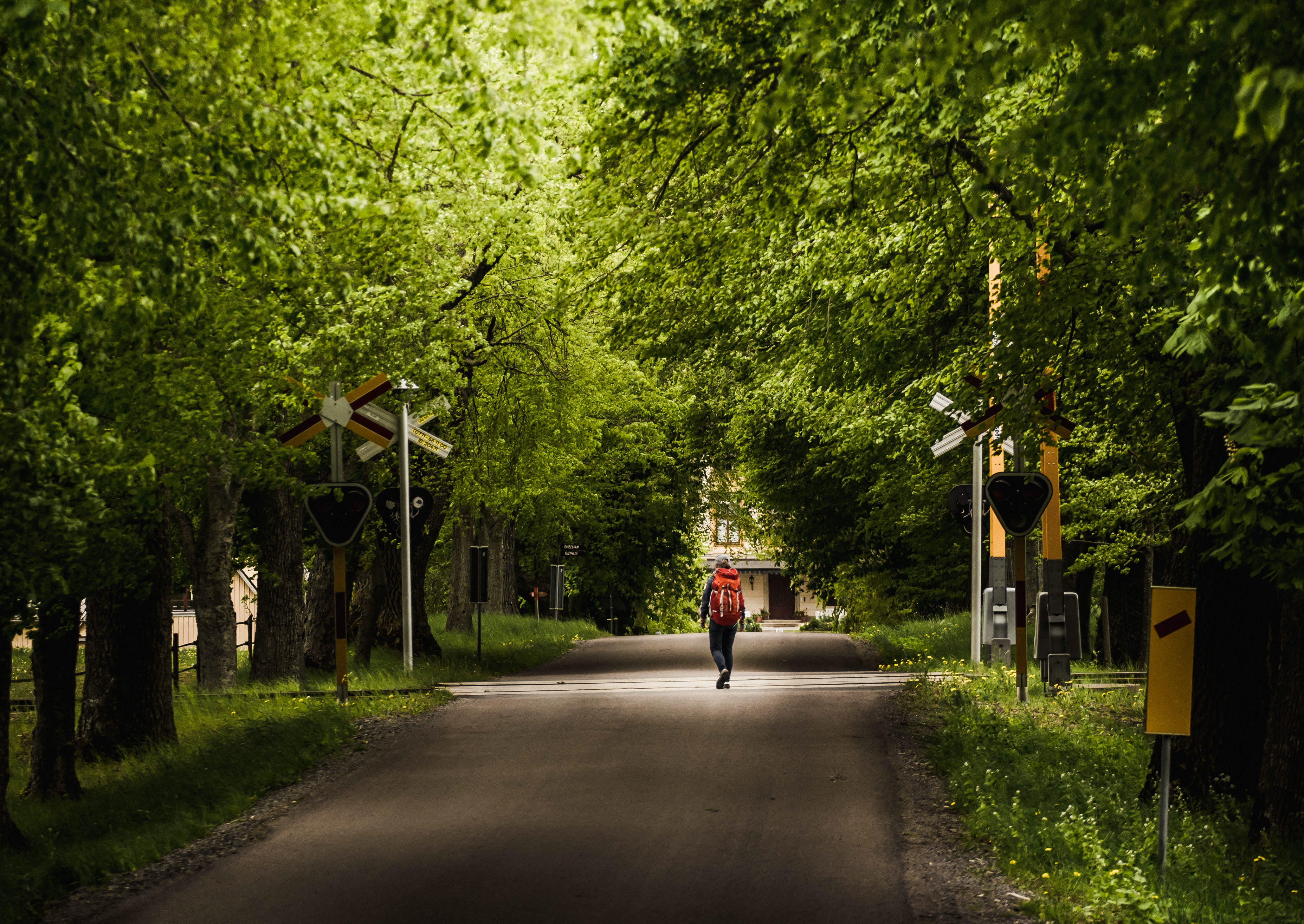 Vandra på Kinnekulle