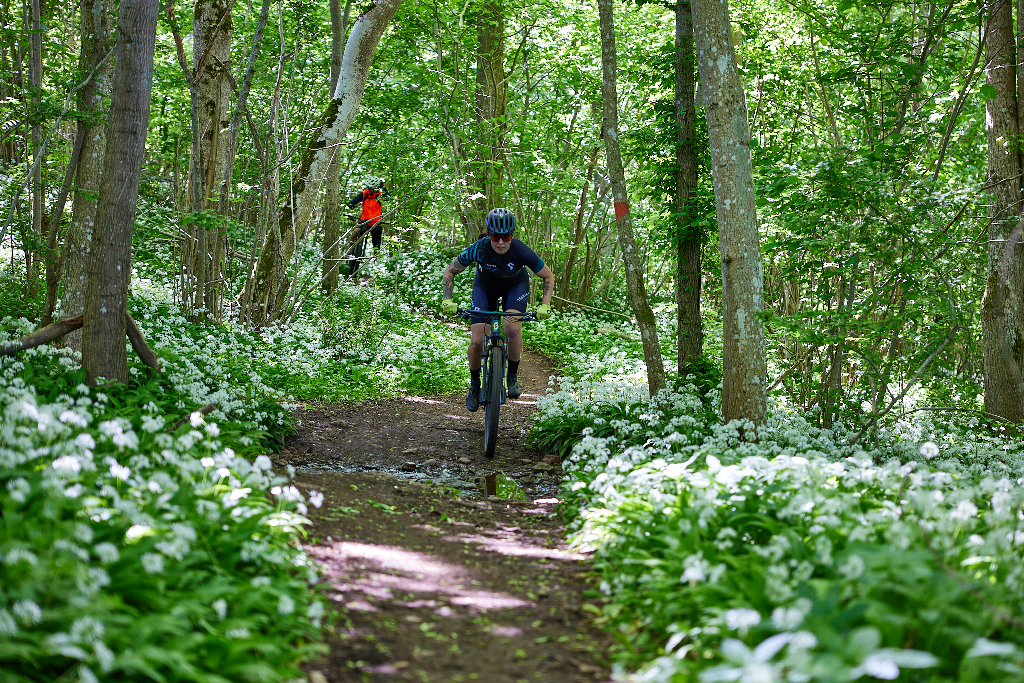 Cykla på Kinnekulle