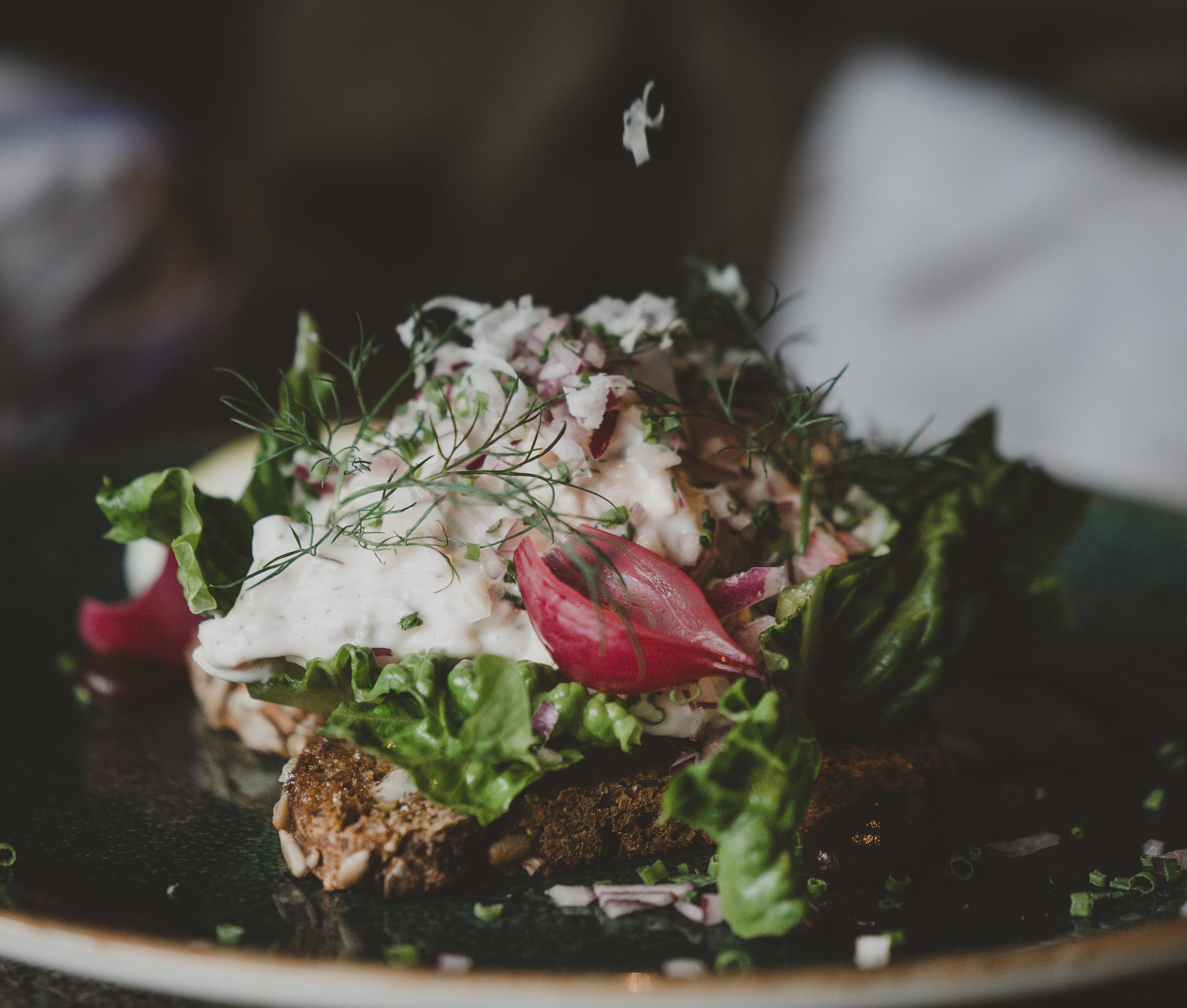 Cooked meal at Kläpphagen Koster.