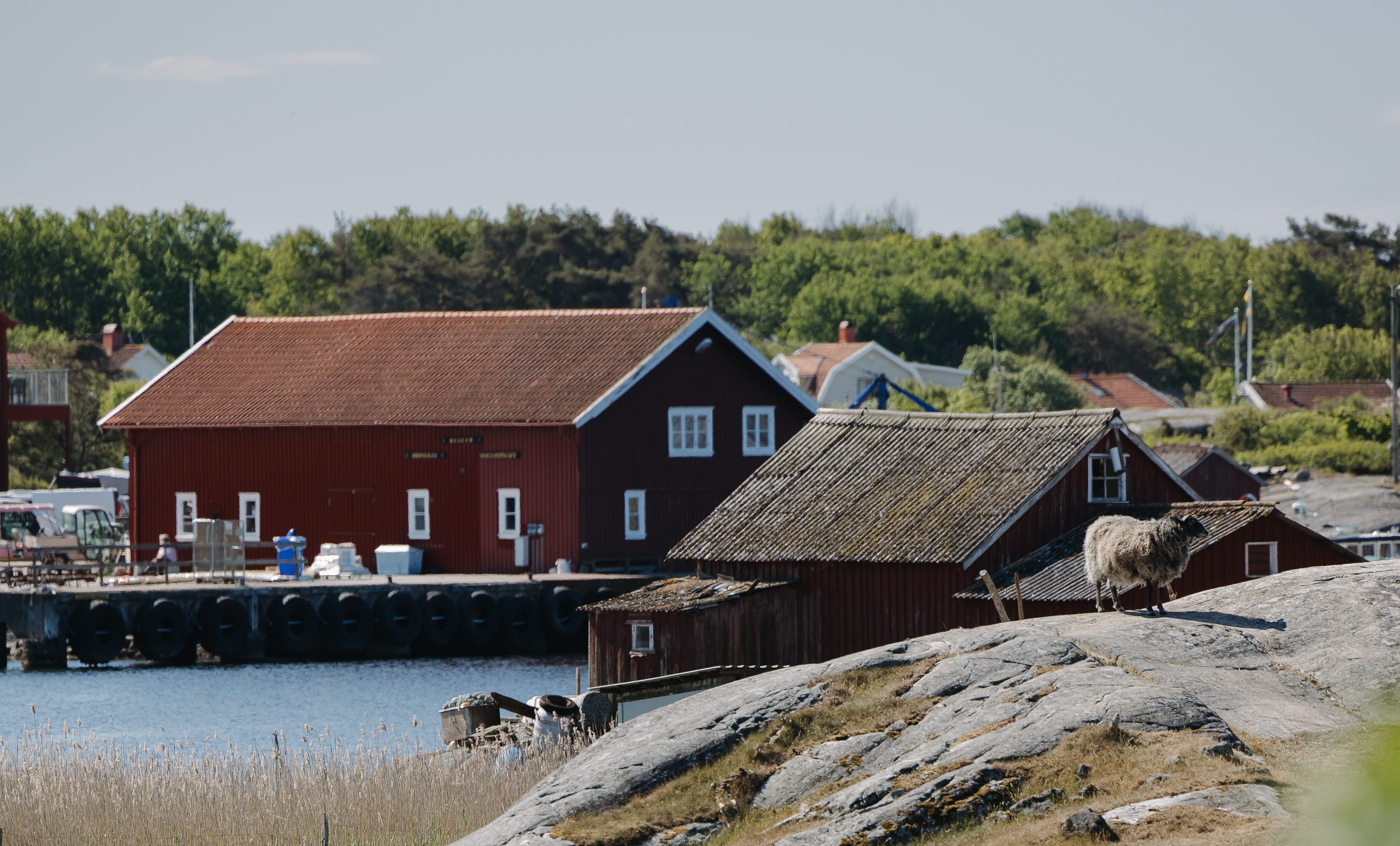 Utsikt över Koster från Kosterhavets Ekobod.