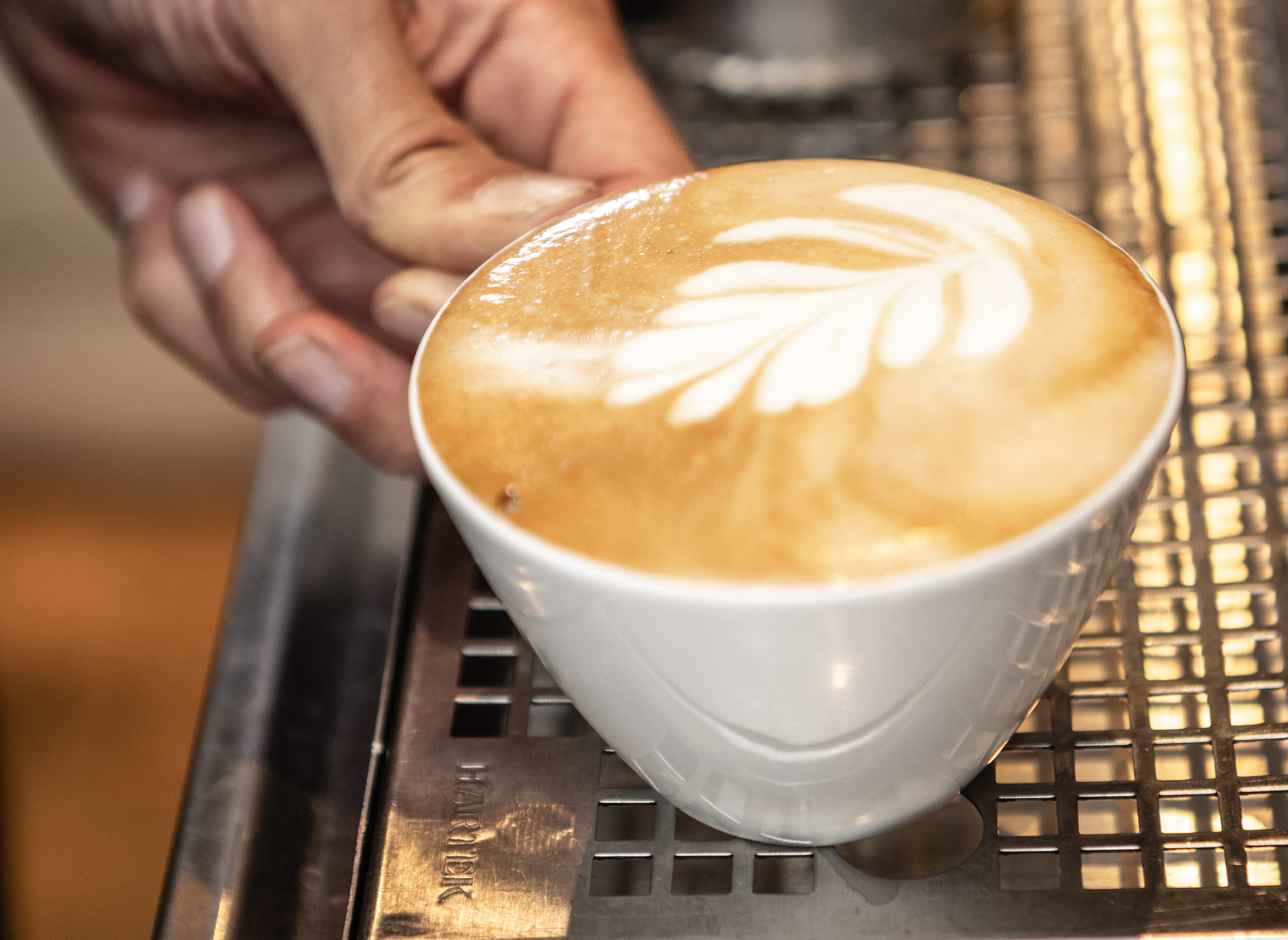 Coffee at Kosters Trädgårdar