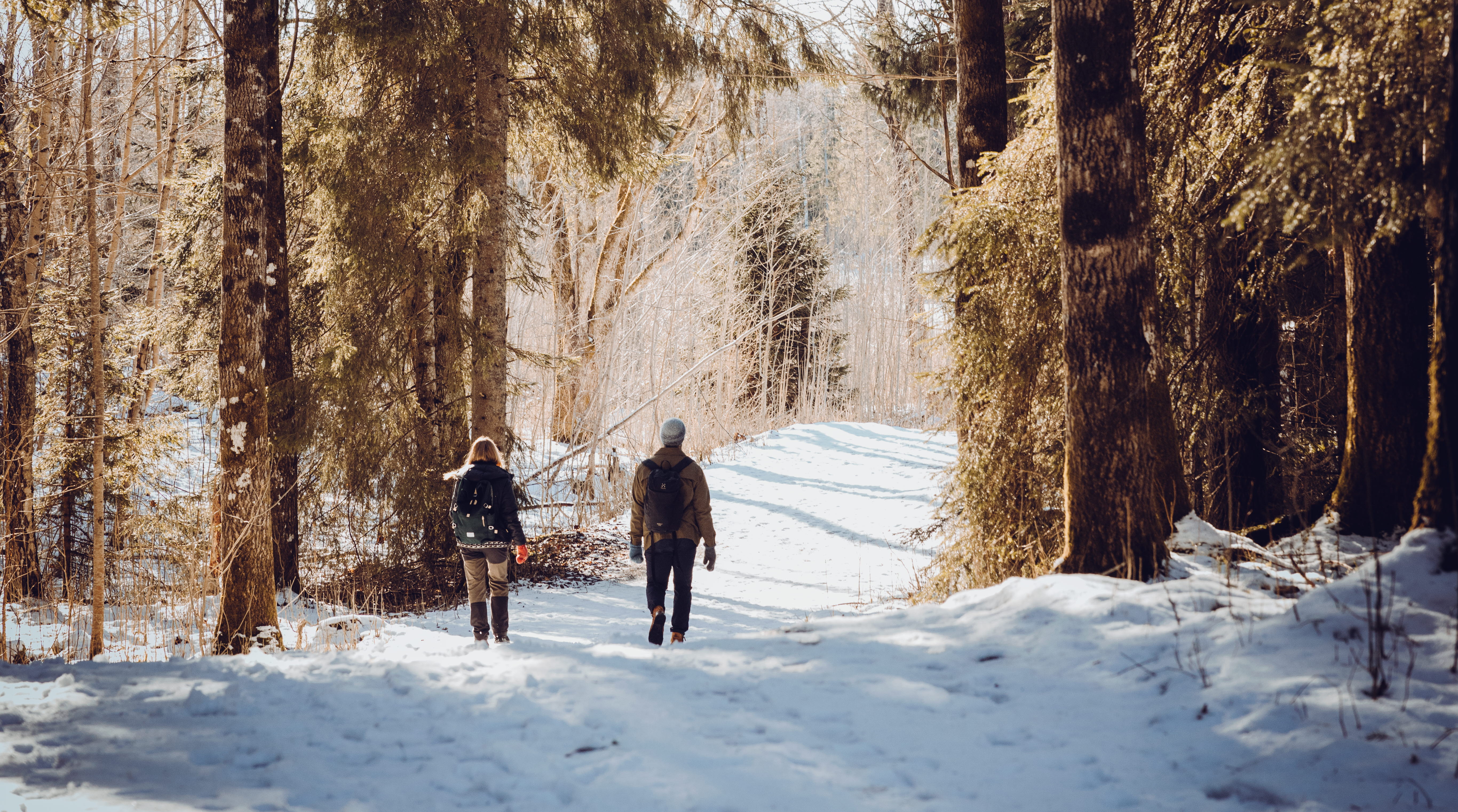 Vänner som vintervandrar i skogslandskap i Västsverige.