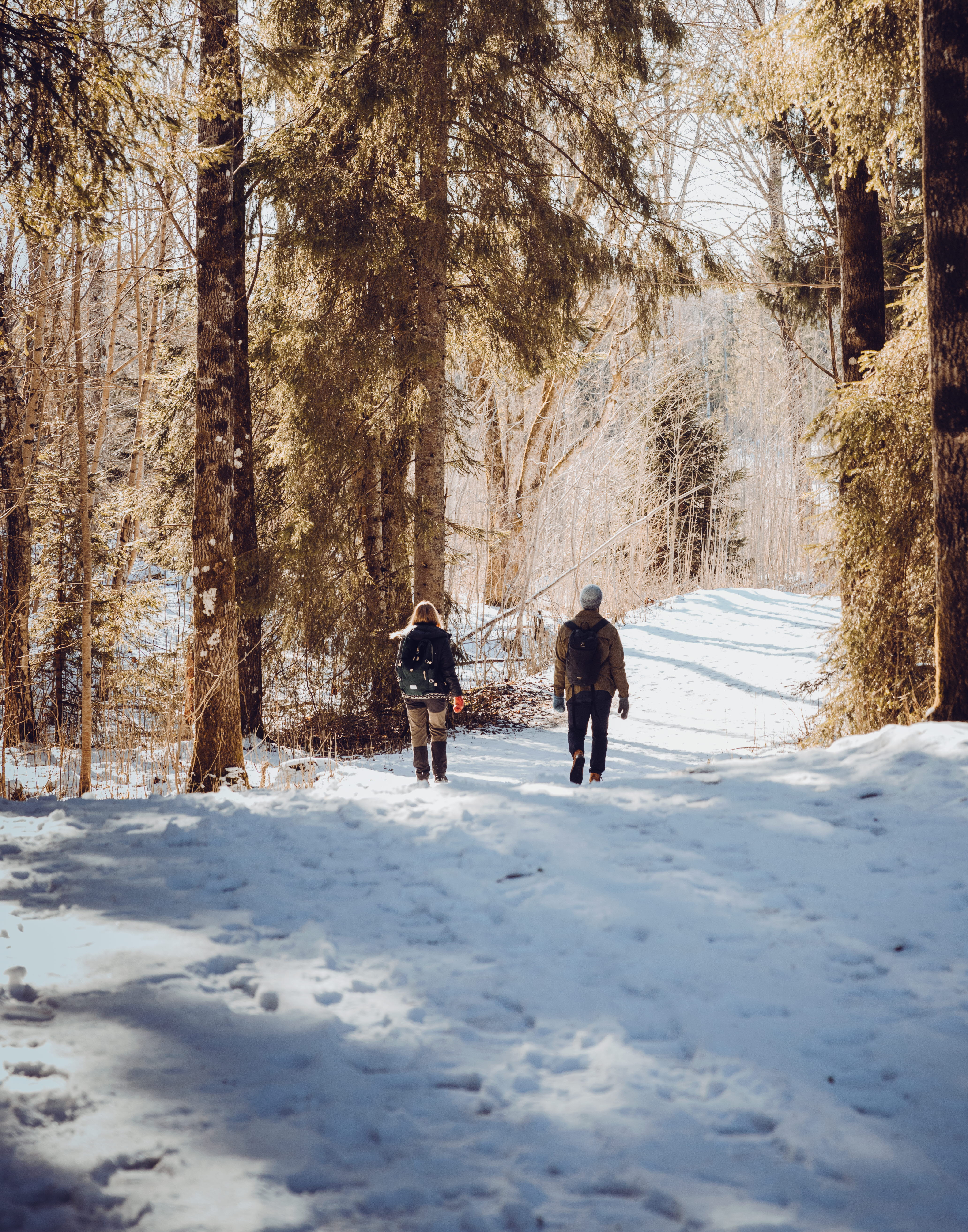 Friends walking in a winter landscape in West Sweden.