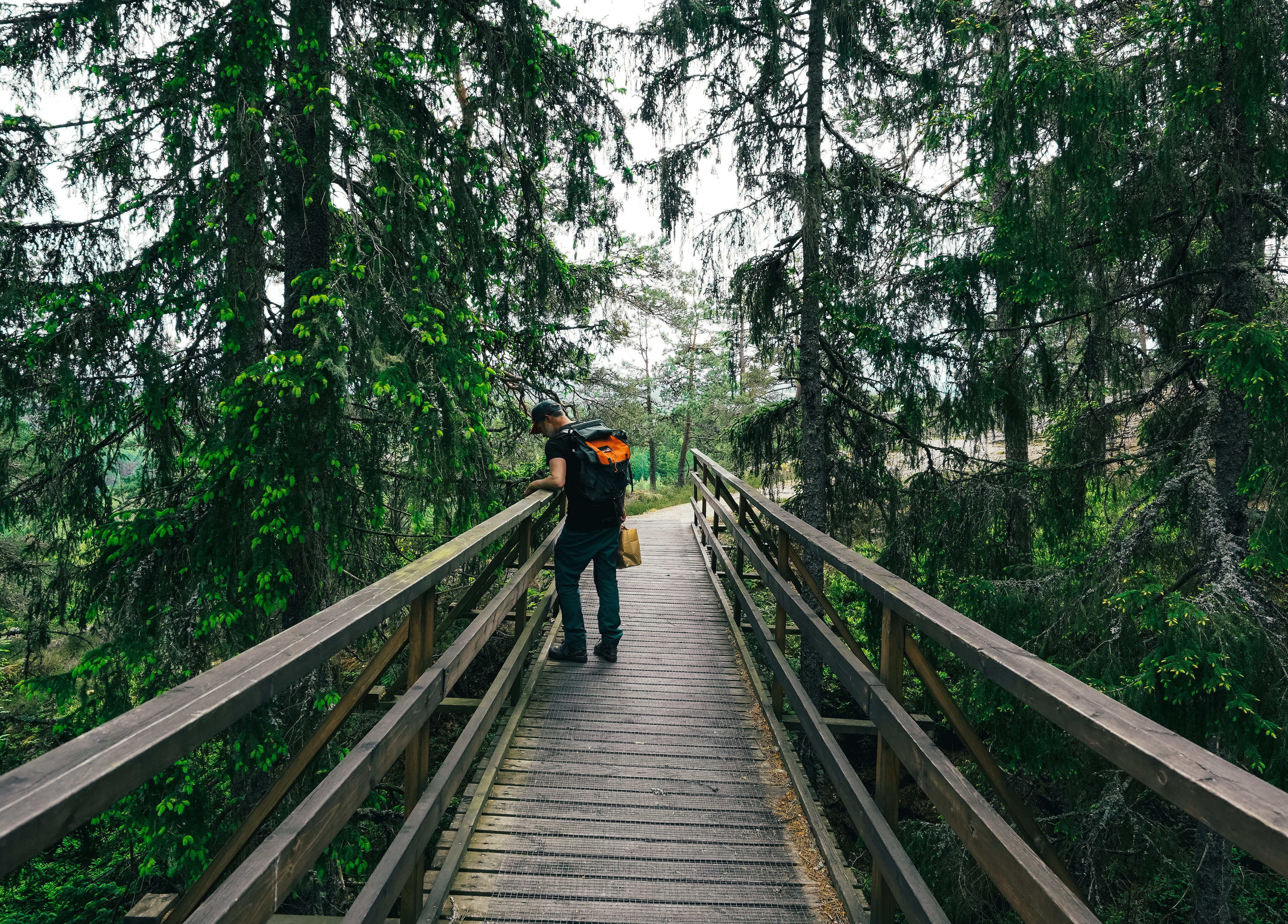Hike at Kroppefjällsleden