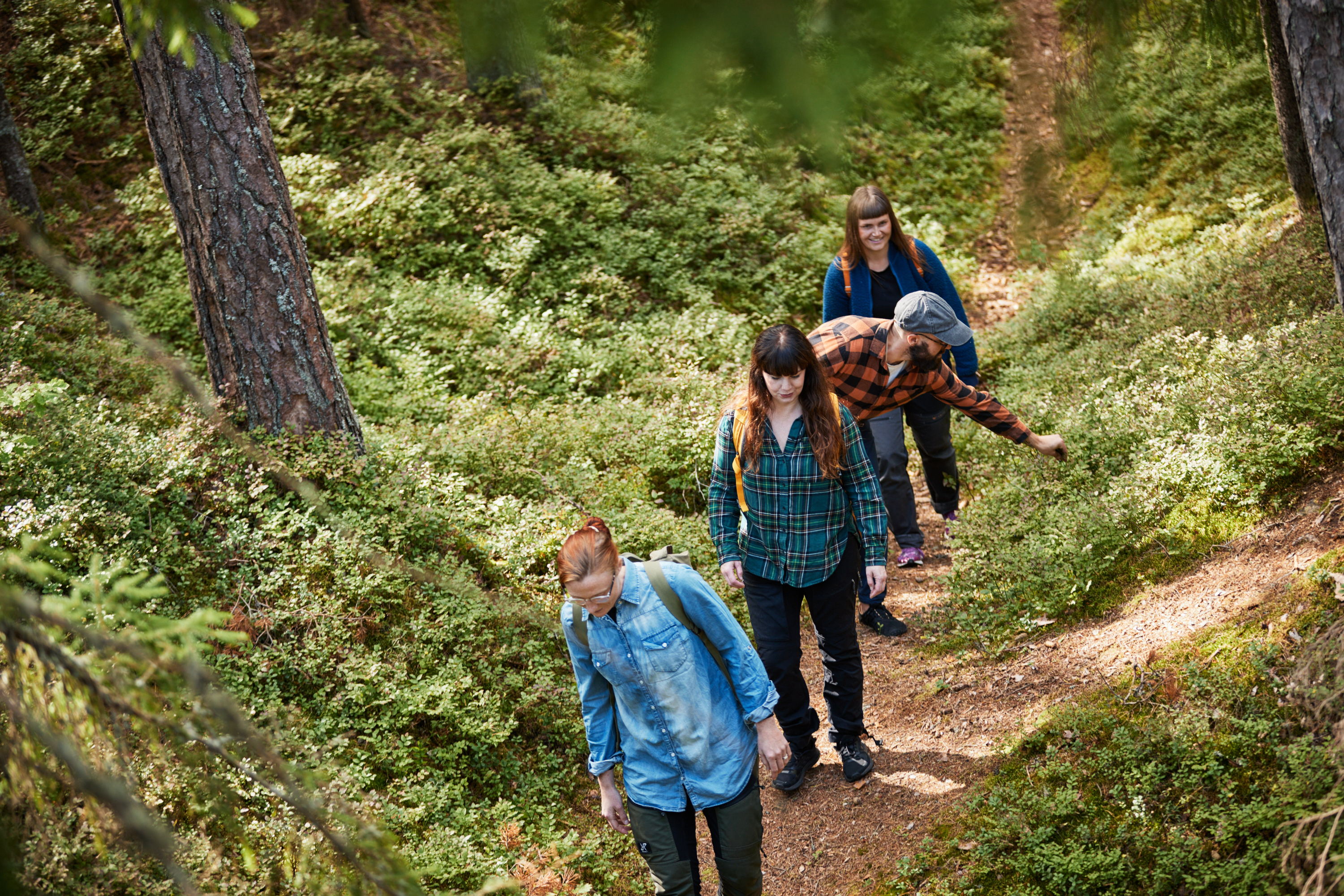 Walk at Kroppefjäll