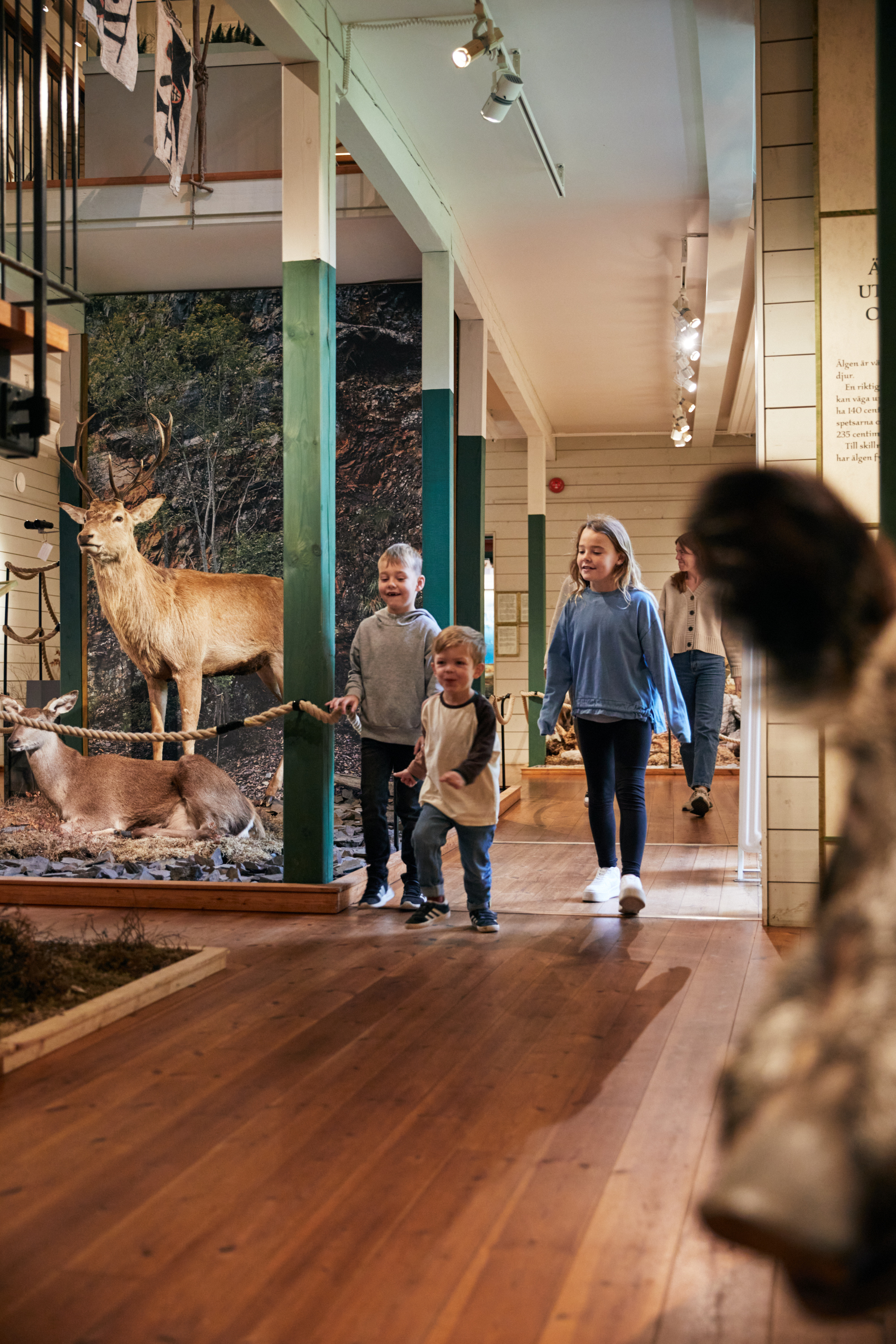 Barn på Kungajaktmuseet Älgens Berg