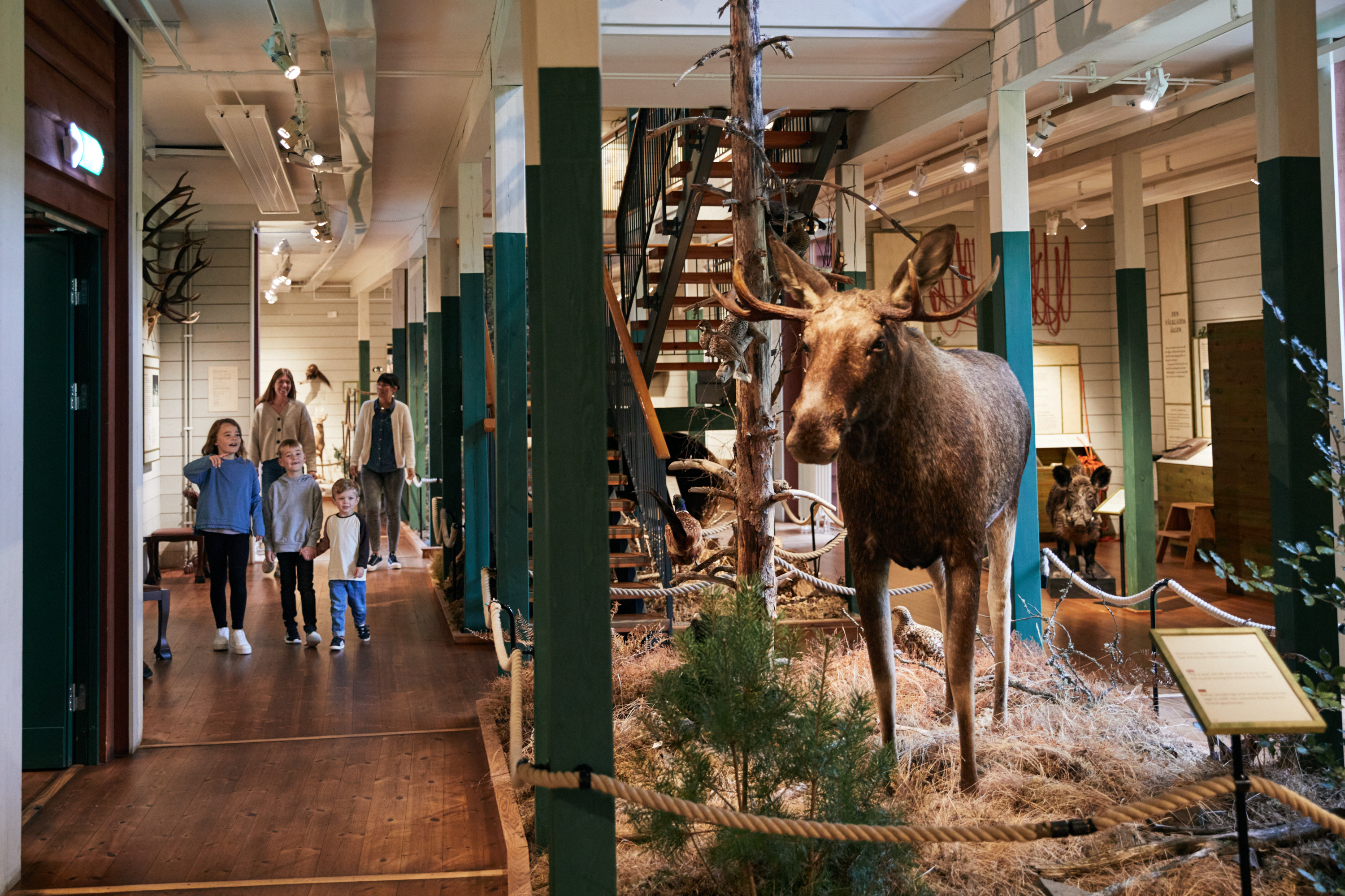 Barn på Kungajaktmuseet Älgens Berg