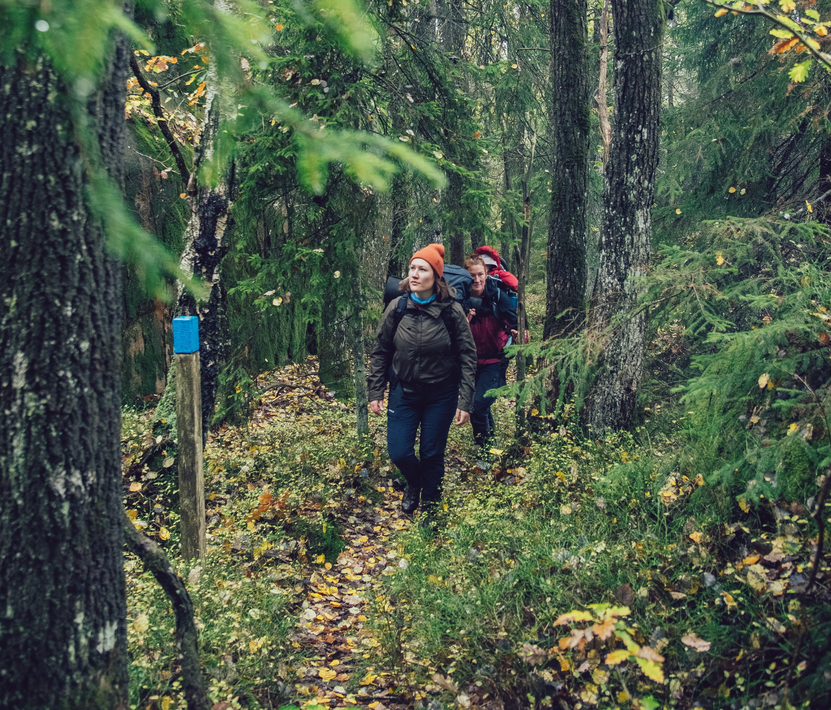Kvinnor som vandrar på Kuststigen