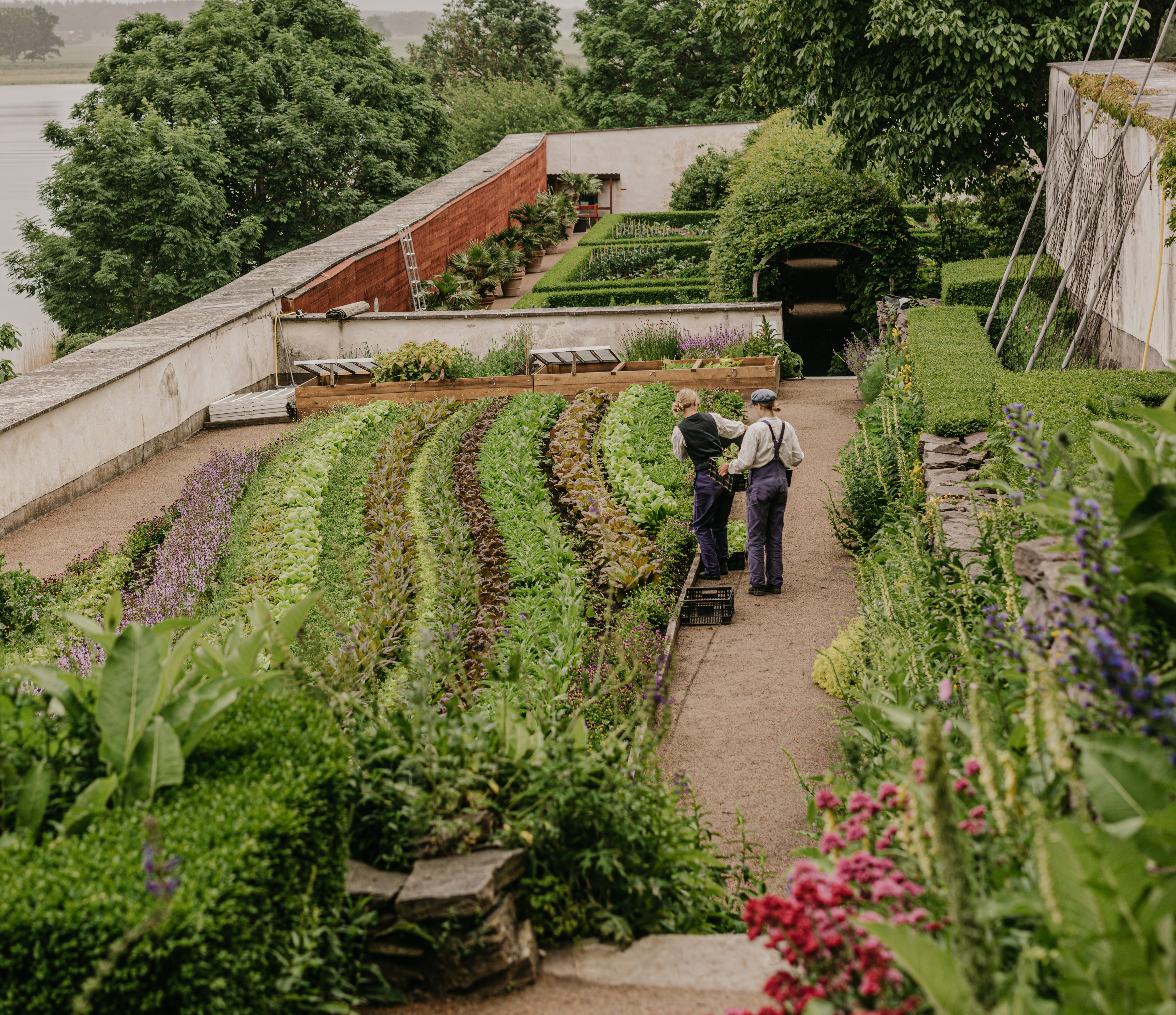 Trädgård på Läckö Slott