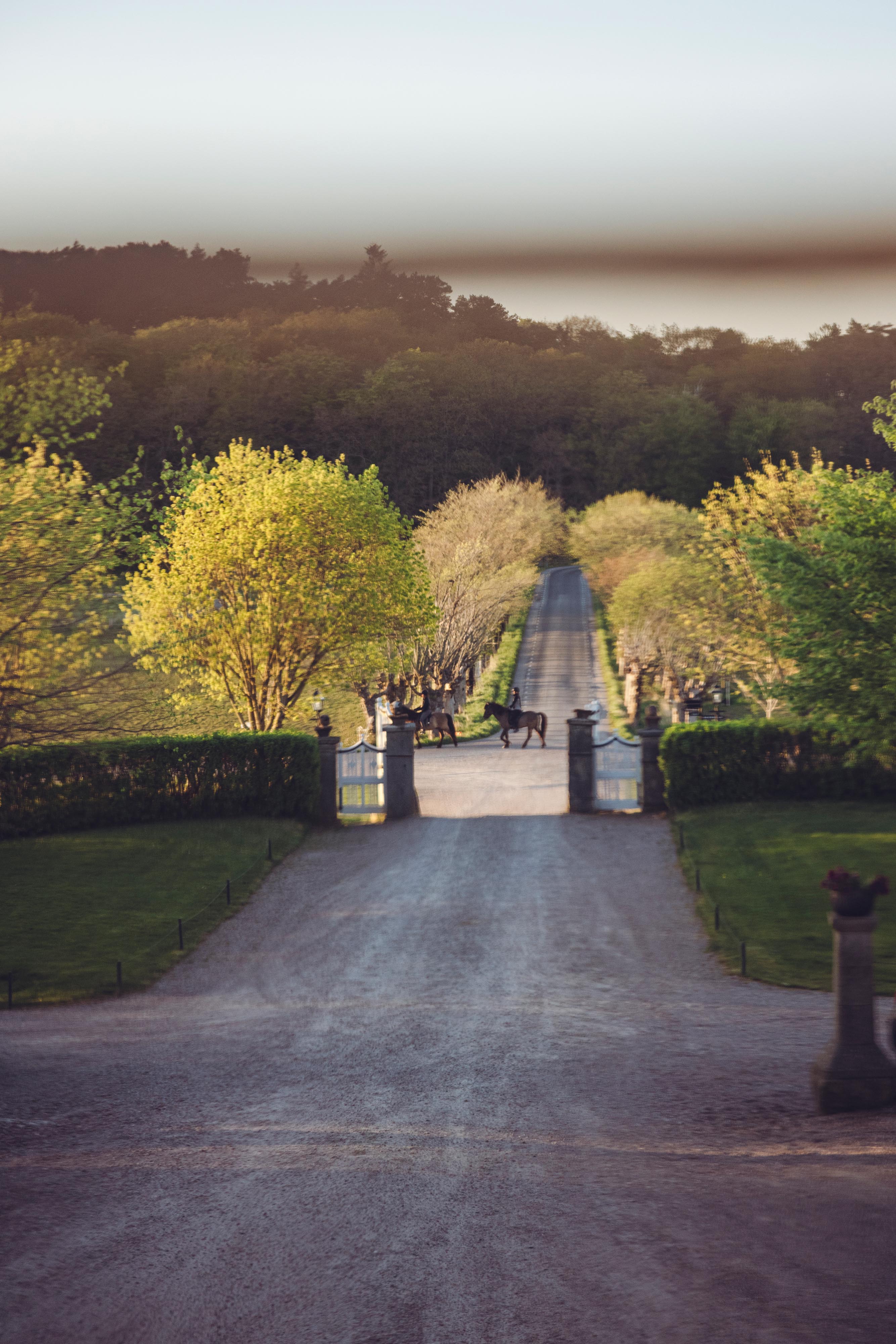 A horse outside Tofta Manor.