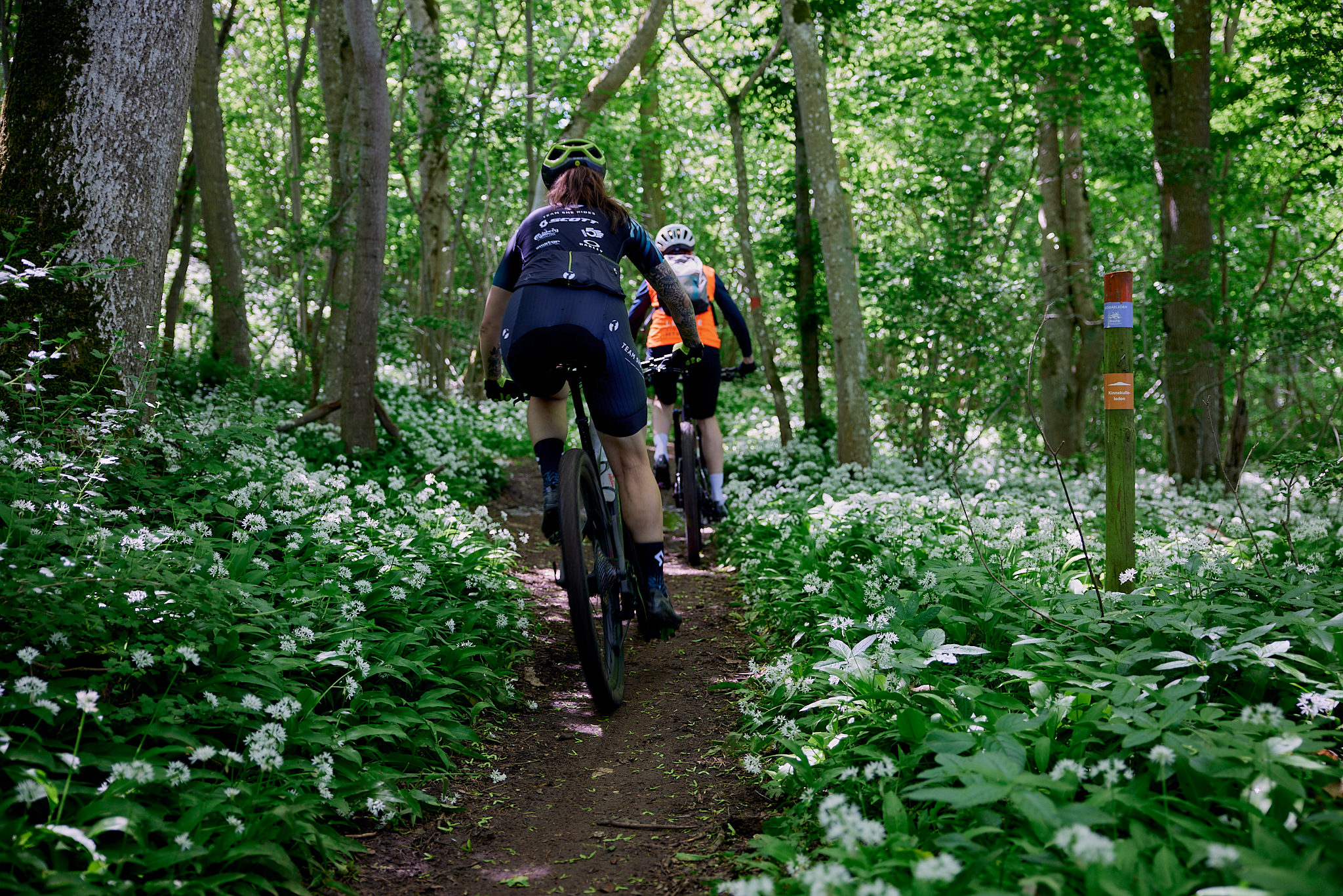 Kvinnor cyklar på Kinnekulle