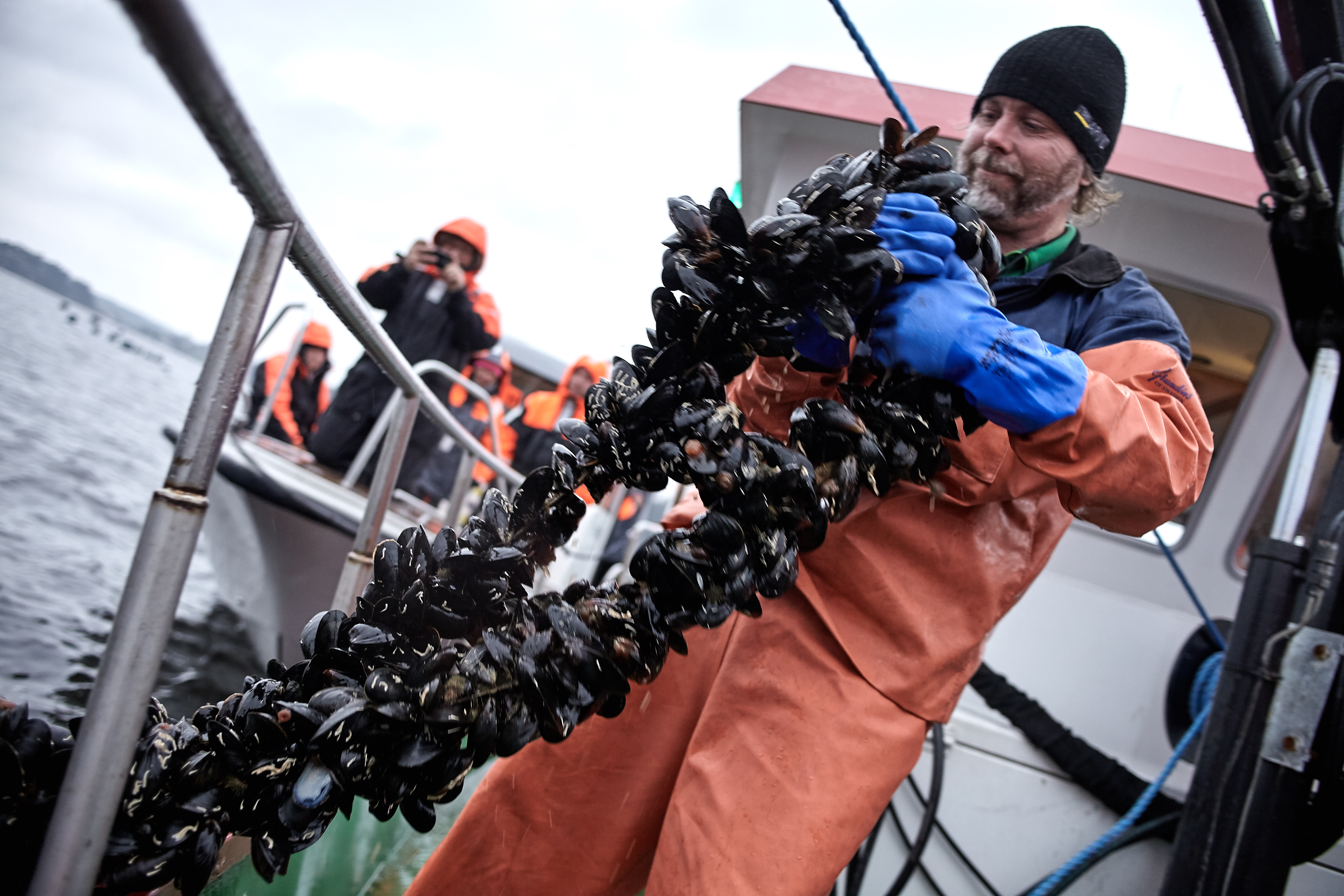 Musselsafafri i Bohuslän