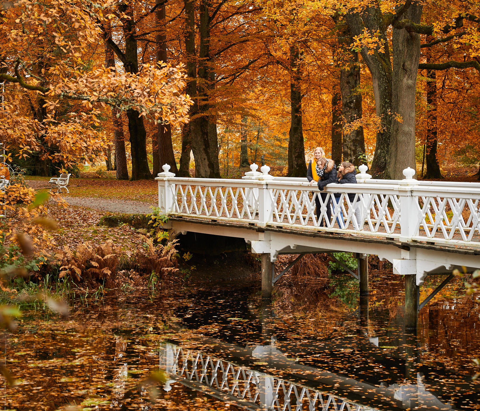 Höstlov i Alingsås