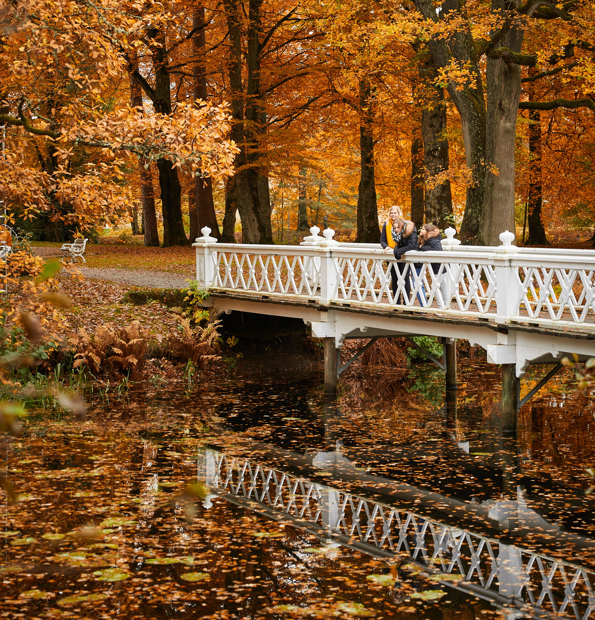 Höstlov i Alingsås